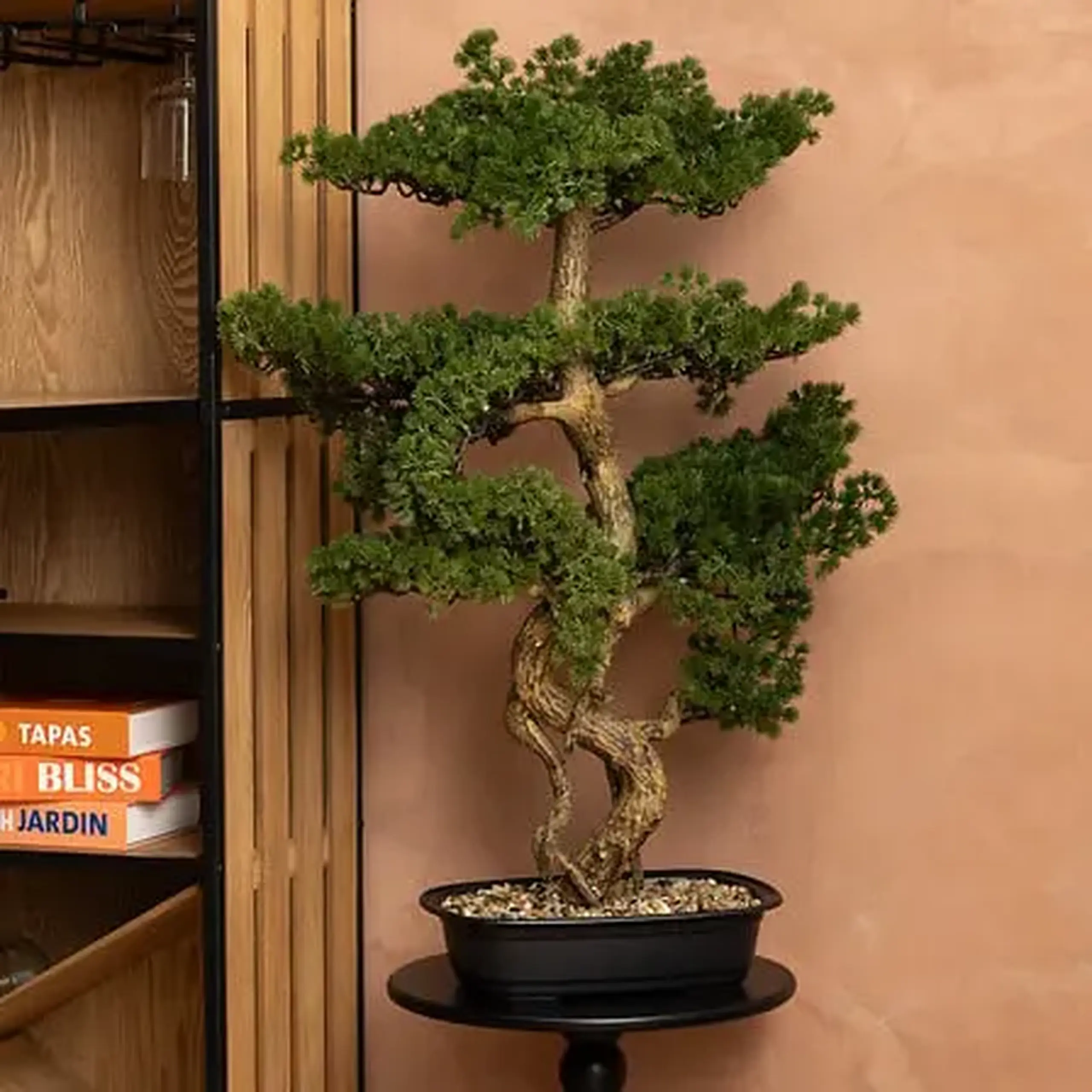Bonsai cu ghiveci H86
