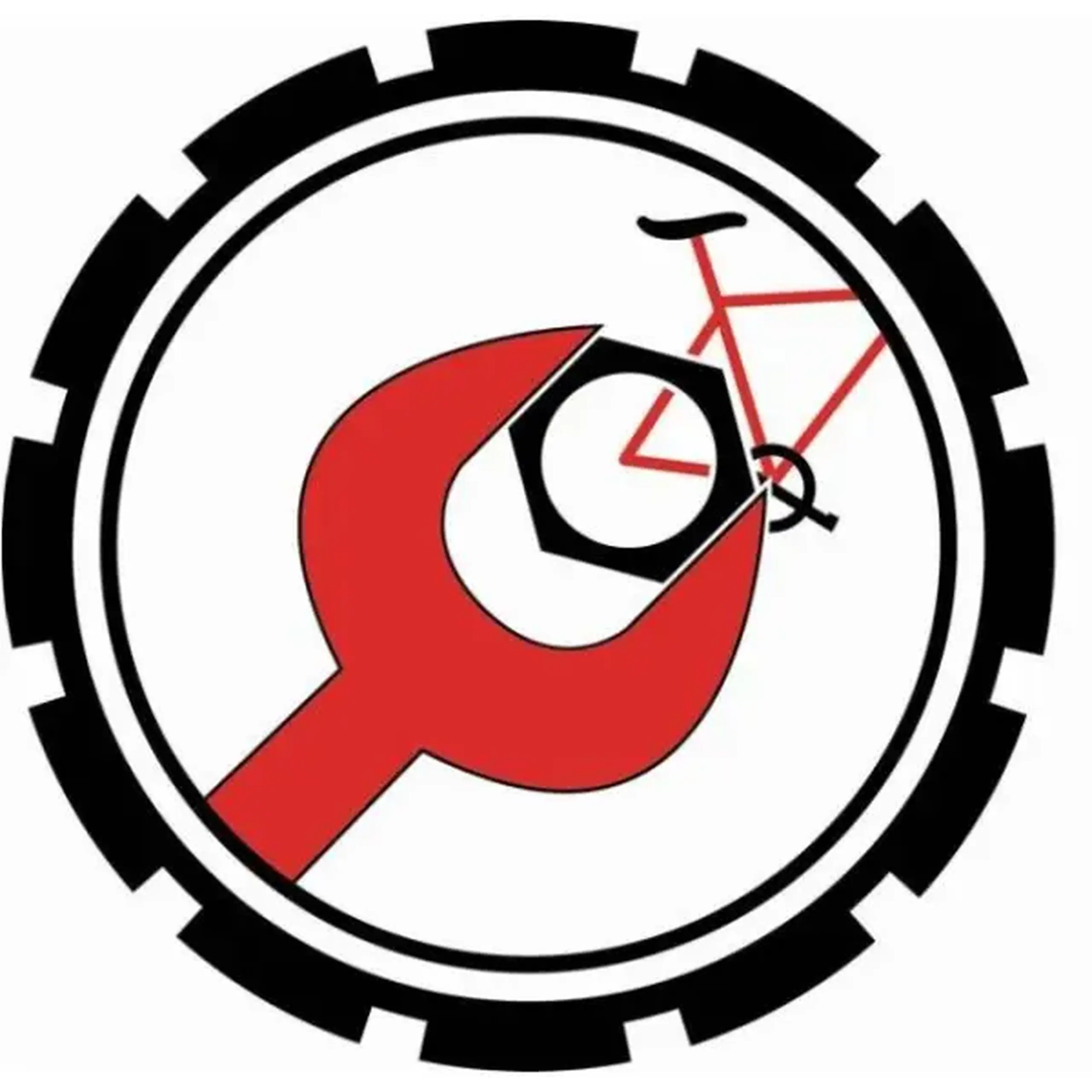 Asamblarea Bicicletelor / Auto - Motociclete electrice (toate modelele)