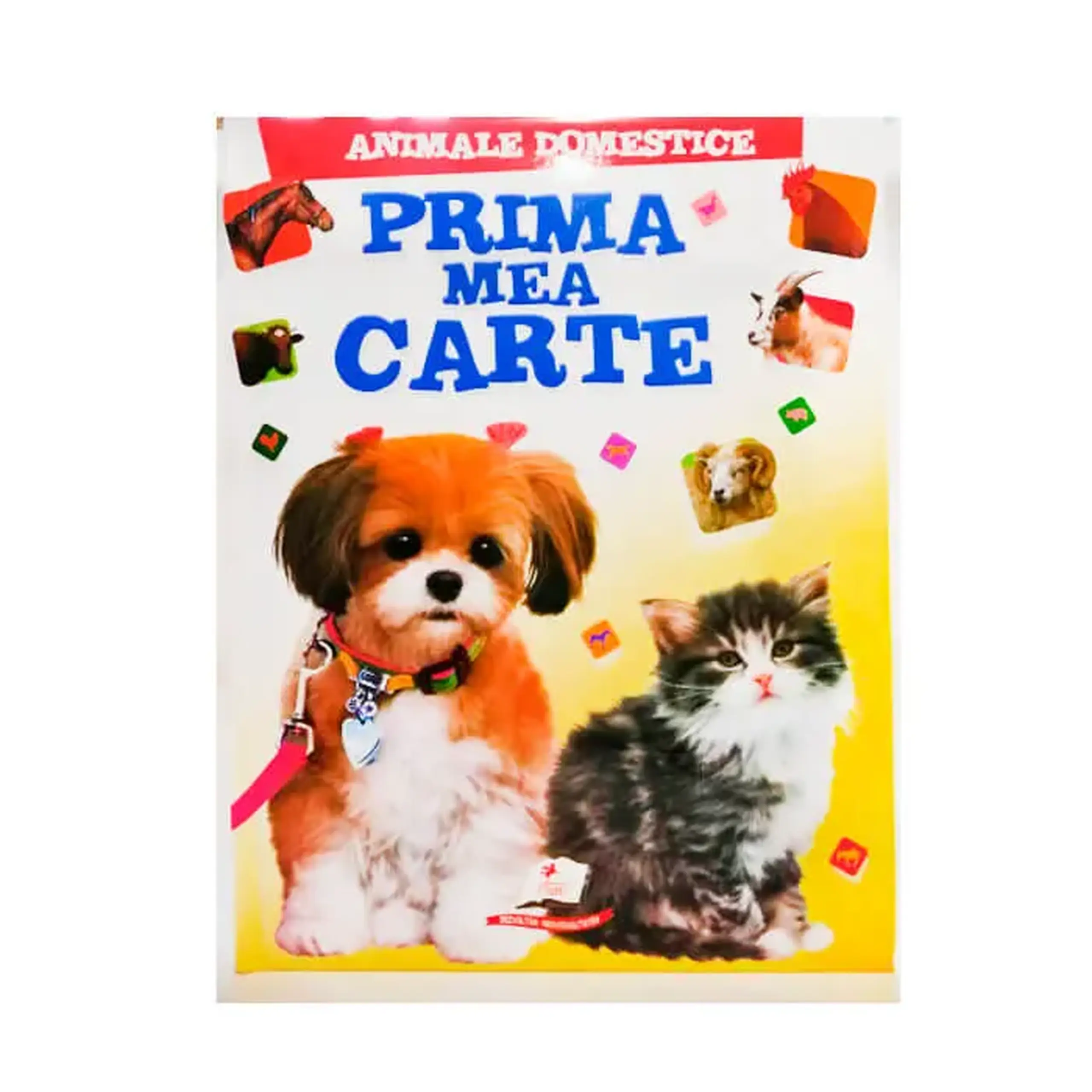 Prima carte Animale domestice 137333