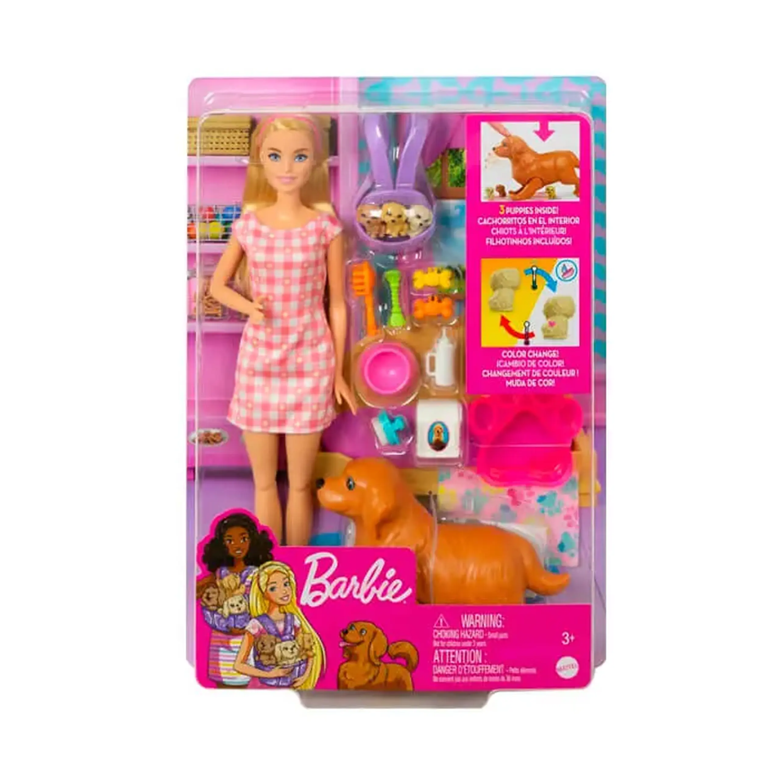 Papusa cu accesorii Barbie HCK75