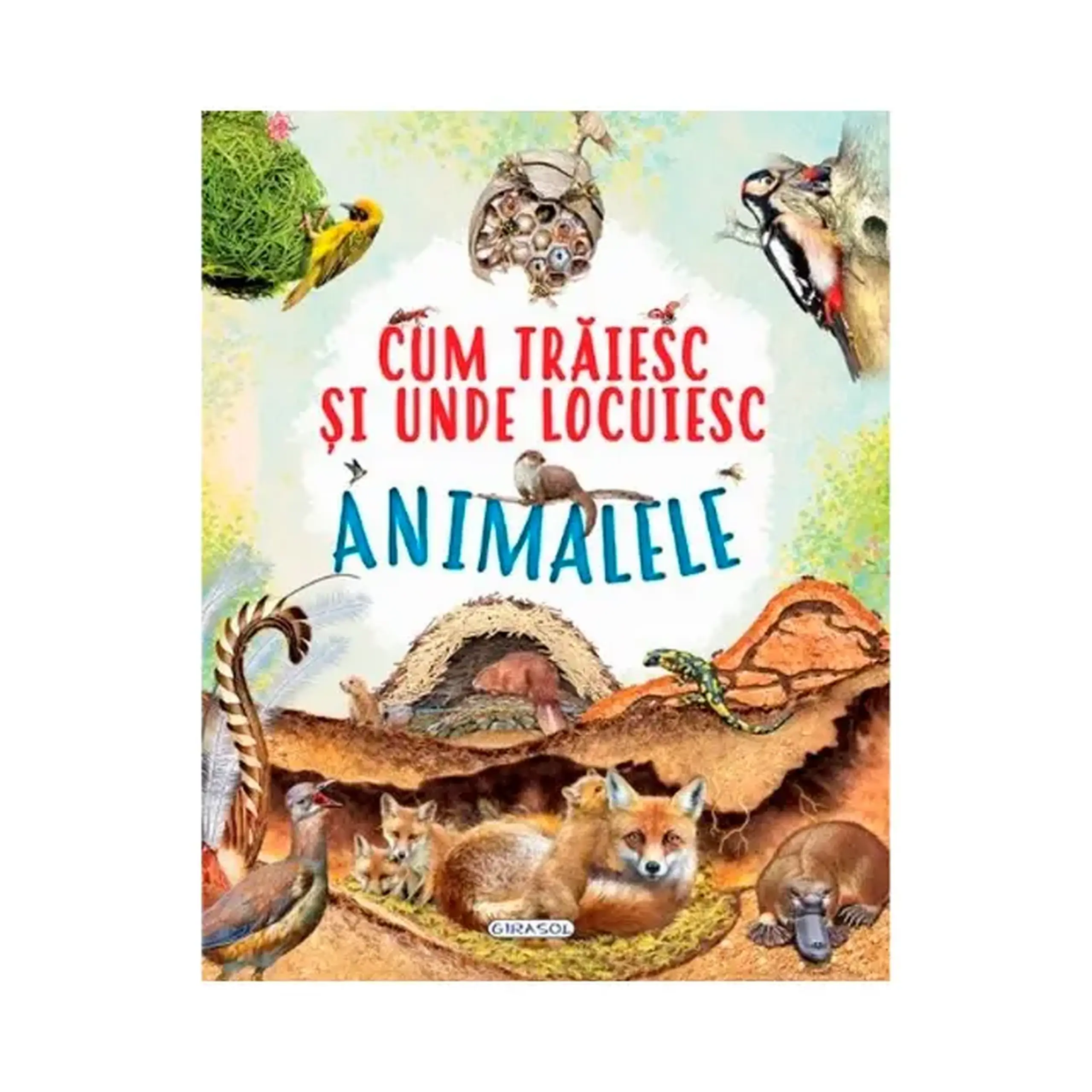 Cum traiesc Animalele-Girasol 242499