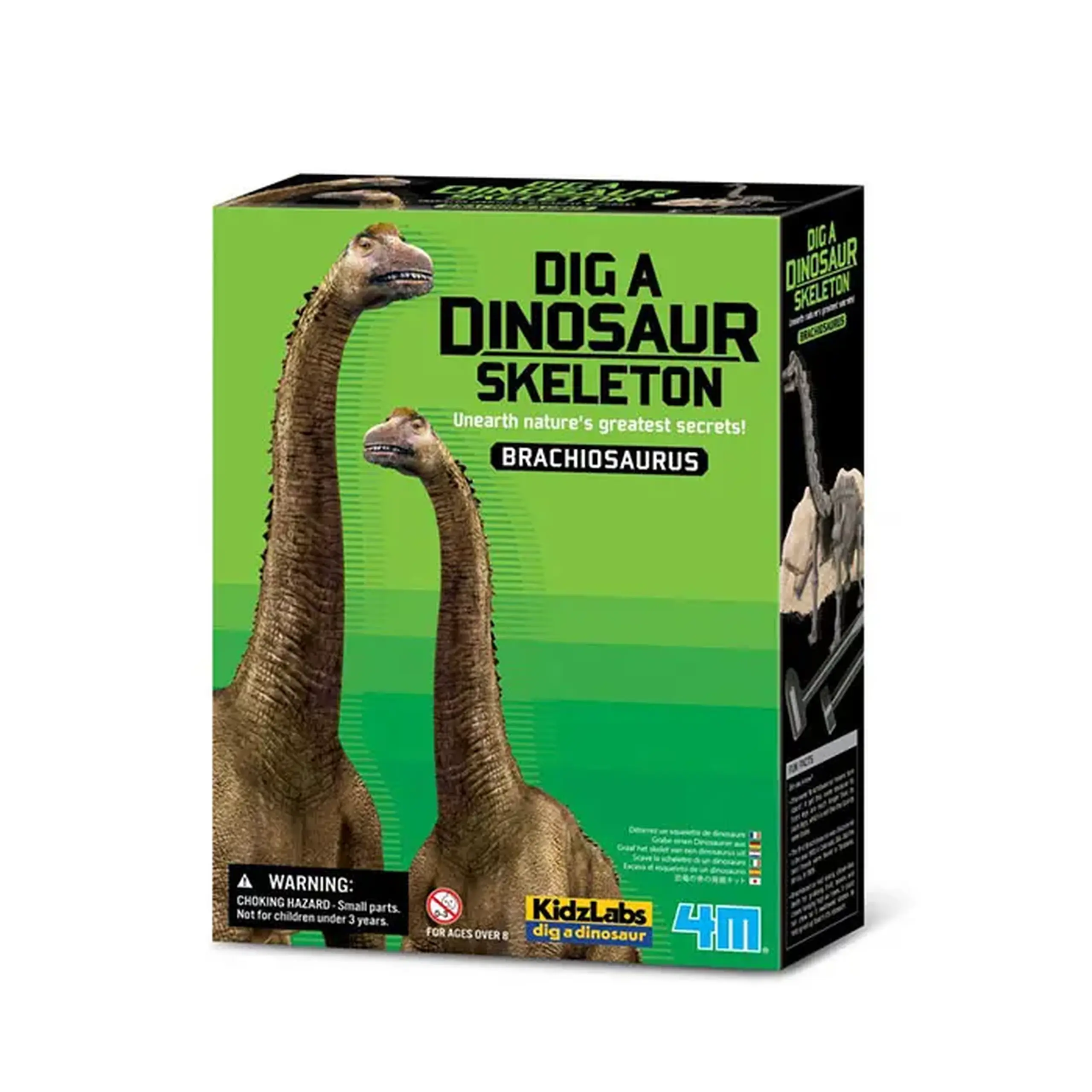 Excavarea dinozaurilor 00-03237