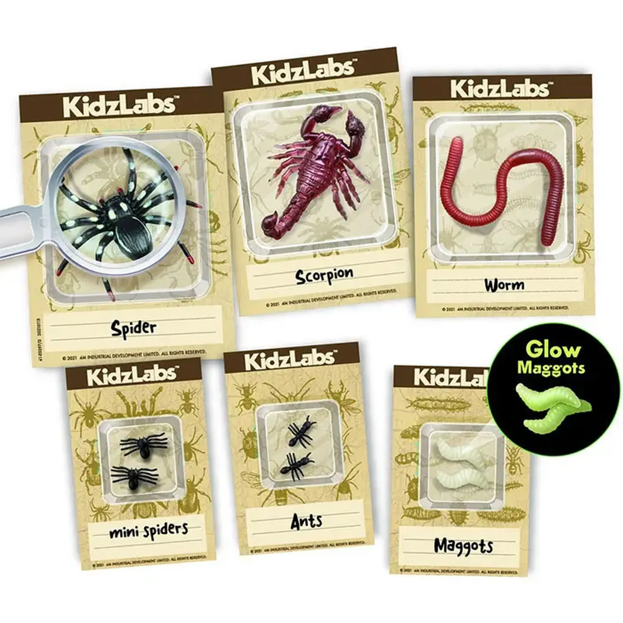 Excavarea insectilor 00-03397