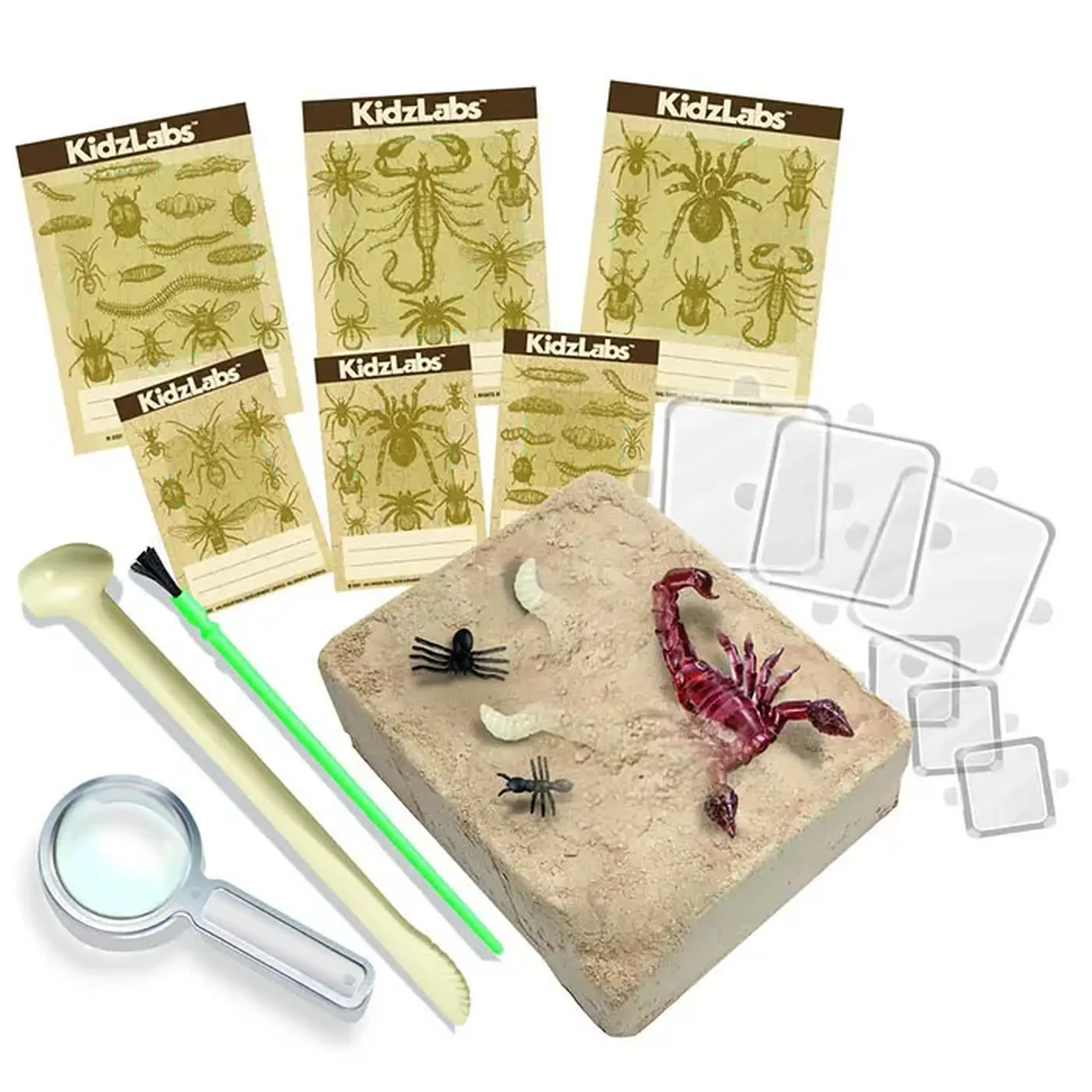Excavarea insectilor 00-03397