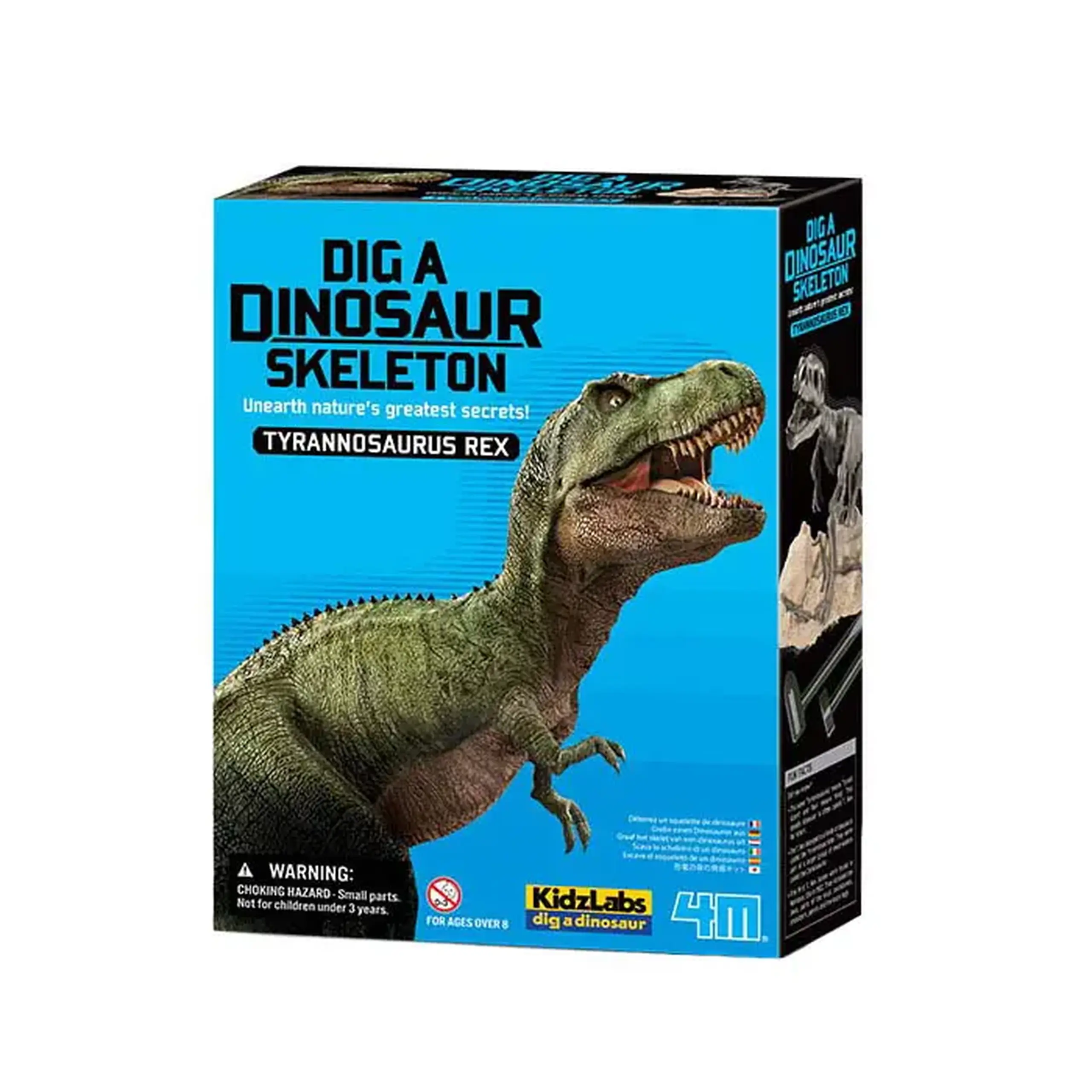 Excavarea dinozaurilor 00-03221