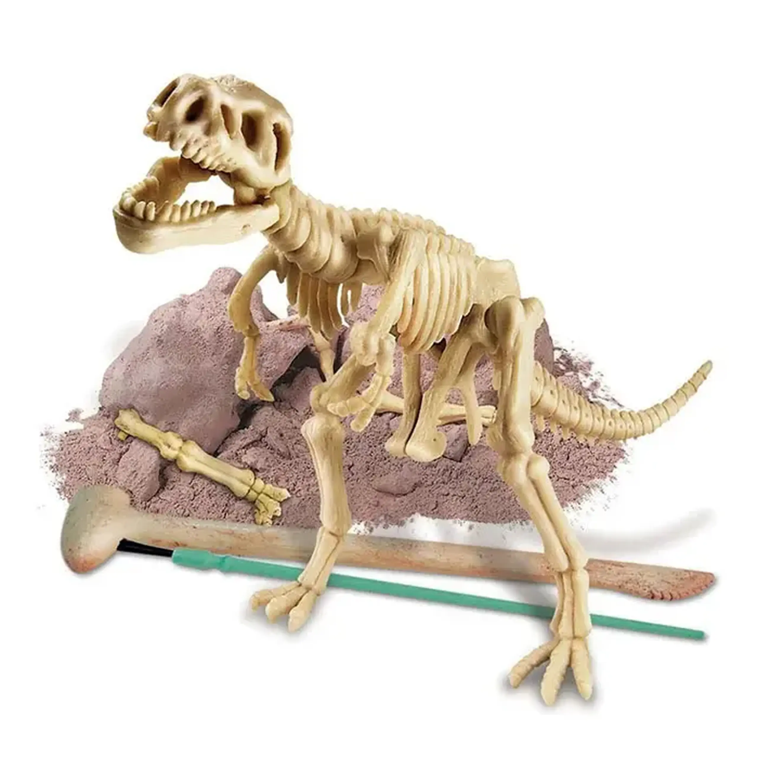 Excavarea dinozaurilor 00-03221