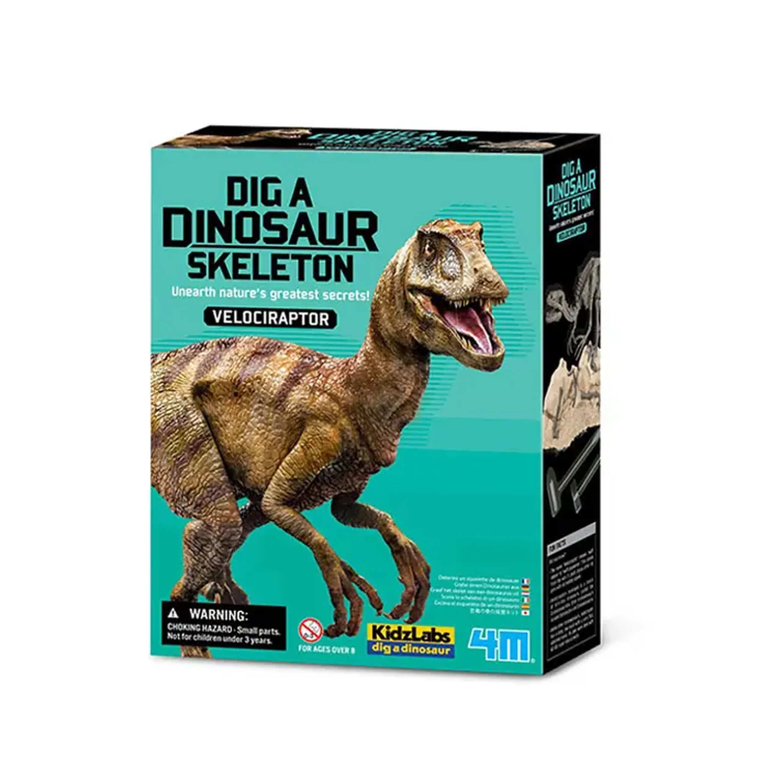 Excavarea dinozaurilor 00-13234