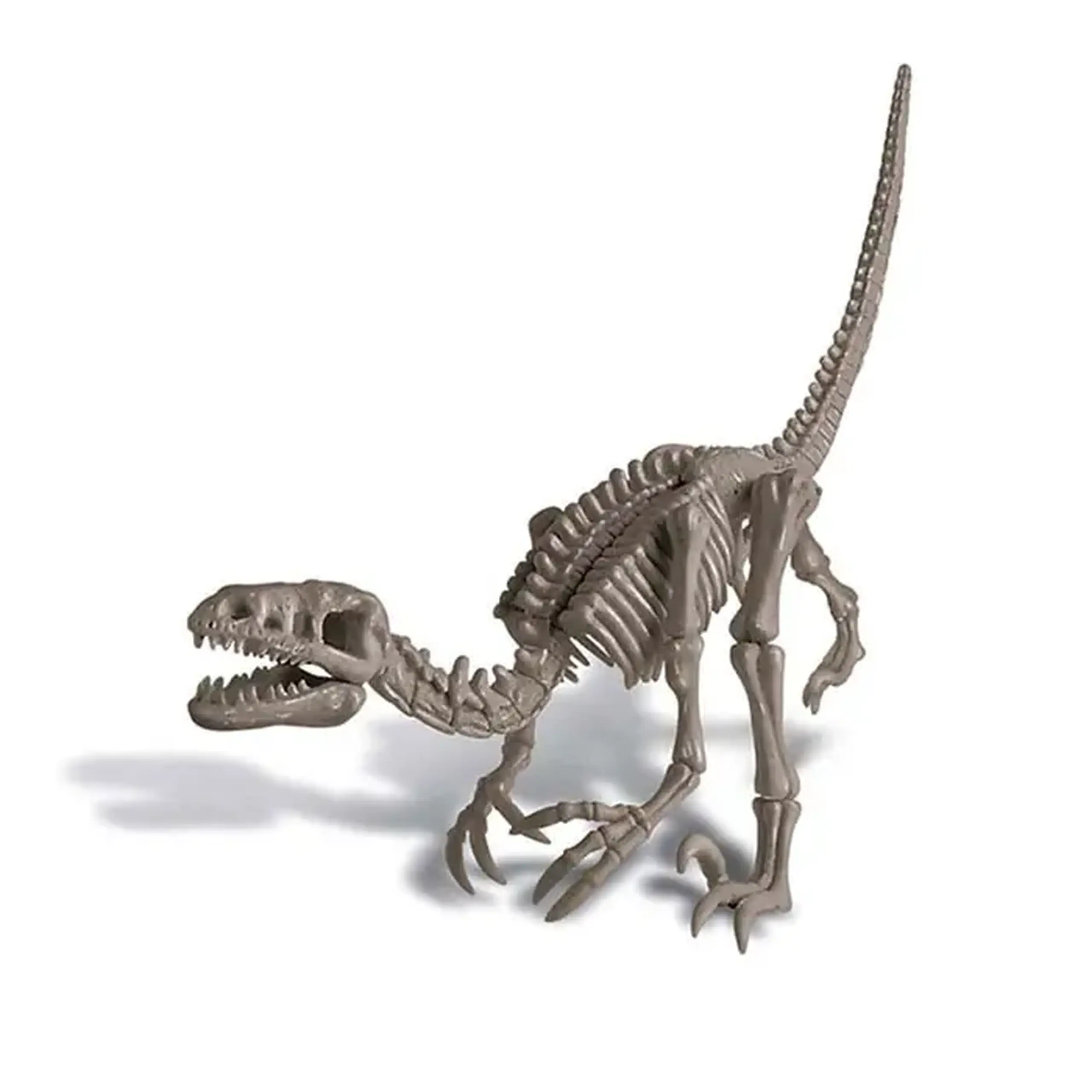 Excavarea dinozaurilor 00-13234