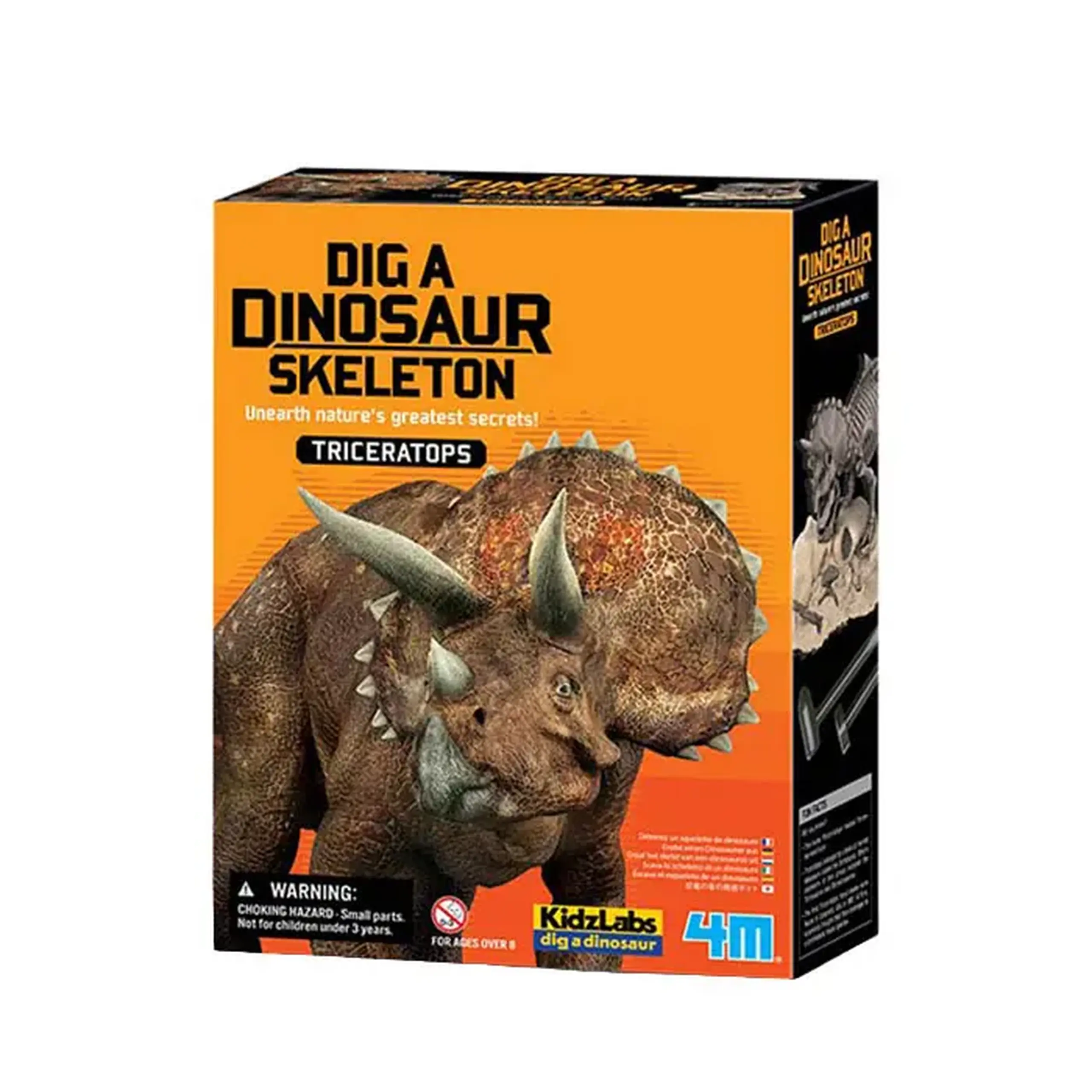 Excavarea dinozaurilor 00-03228