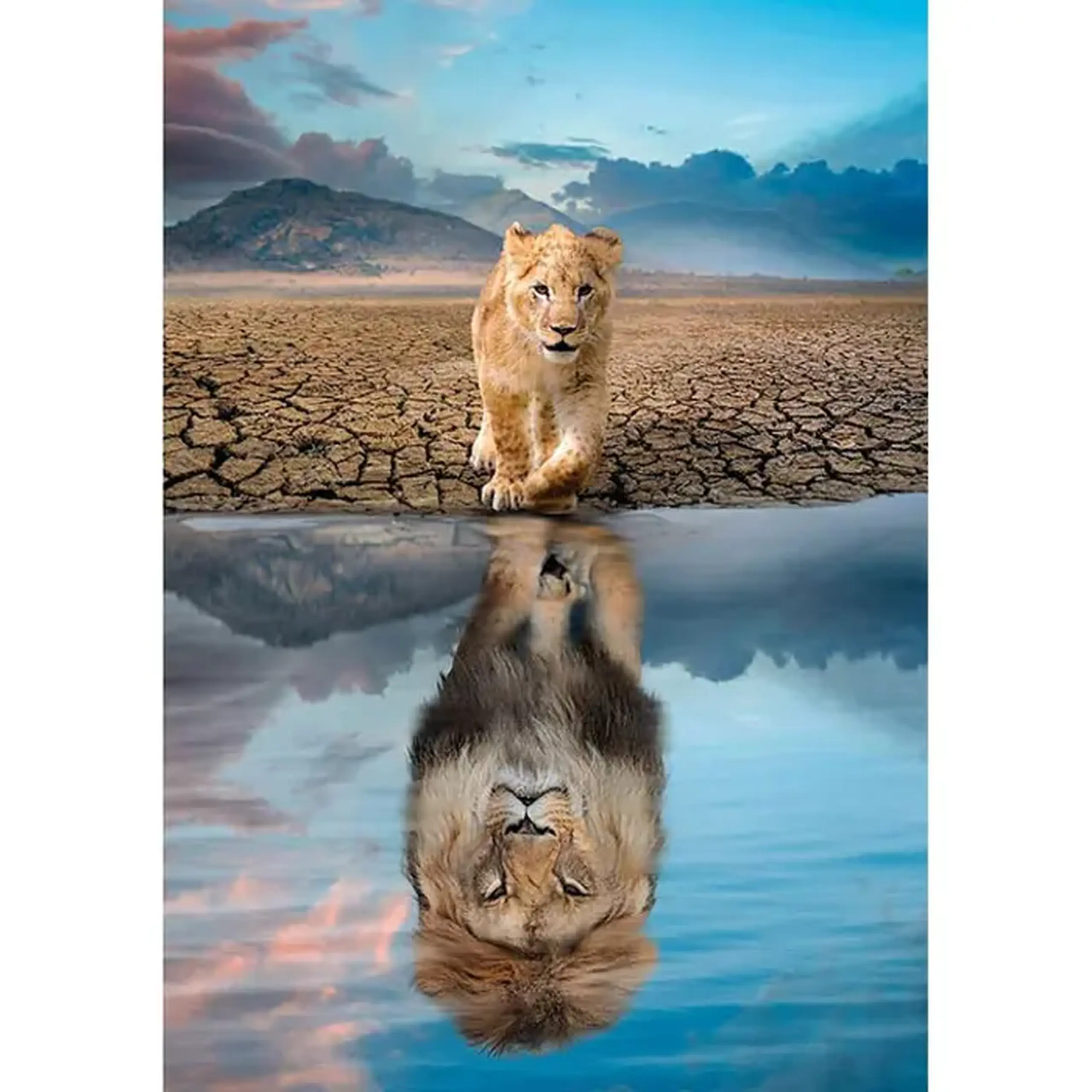 Puzzle 300 Super Self Reflection 21719
