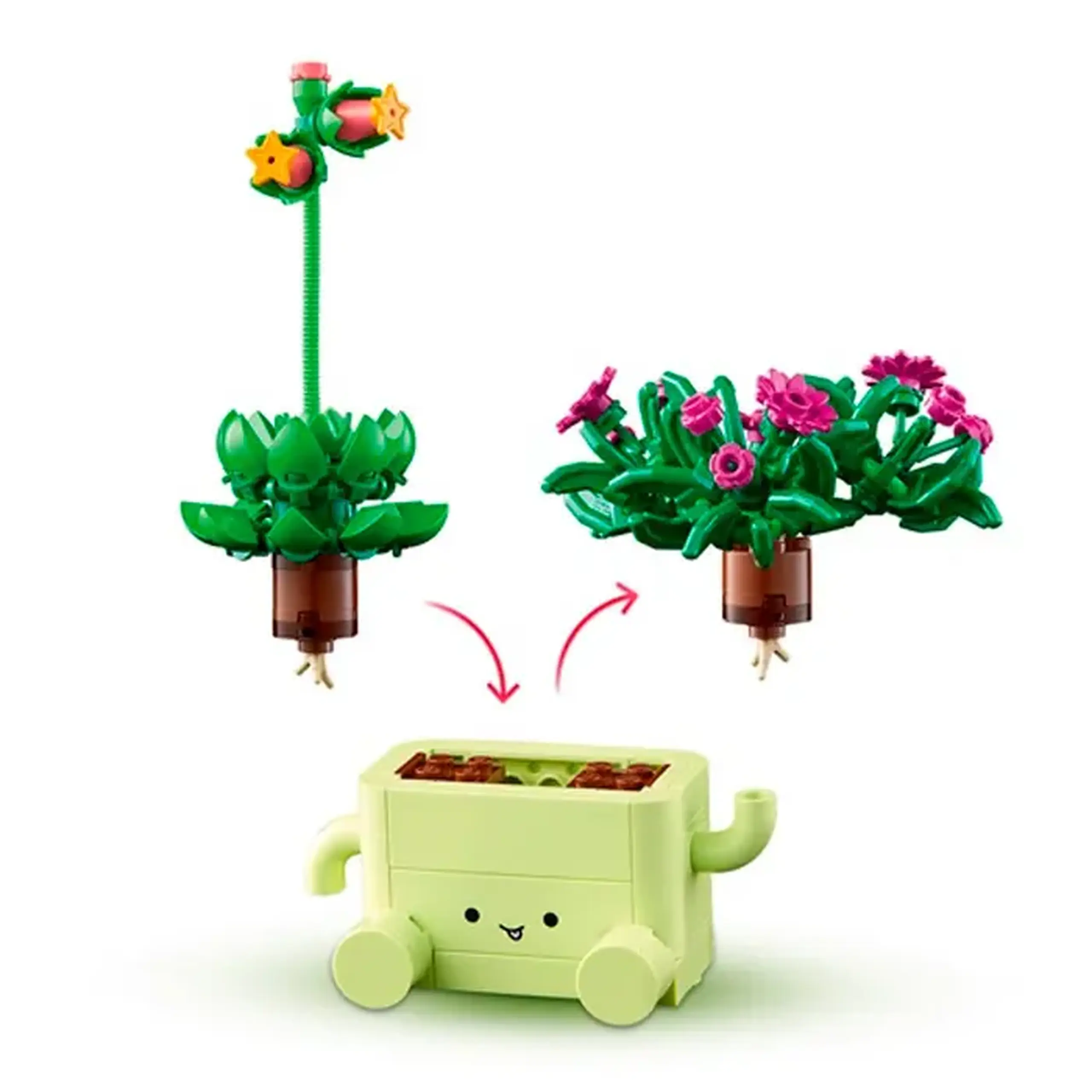 Lego Botanical Collection Plante leganatoare 11506