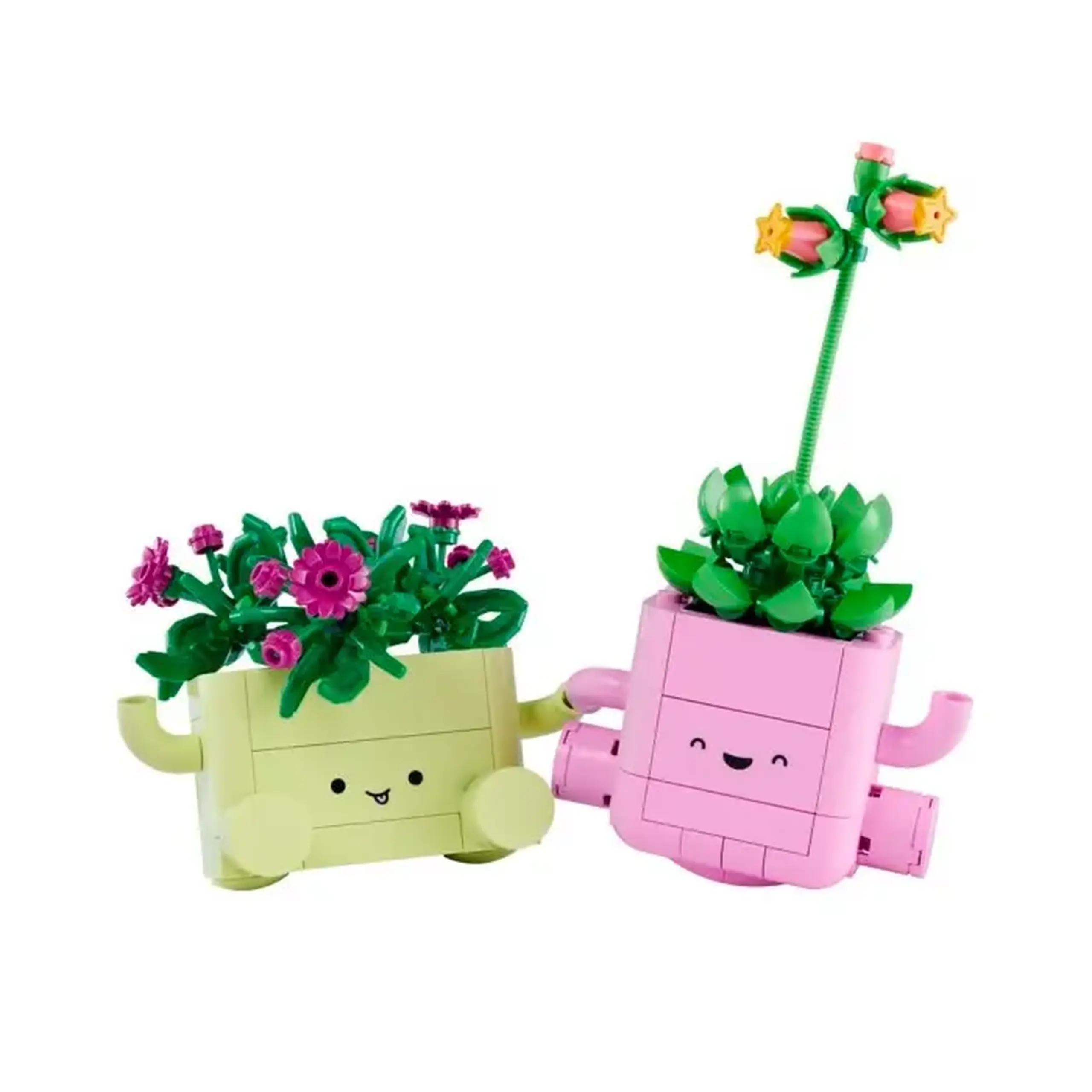 Lego Botanical Collection Plante leganatoare 11506