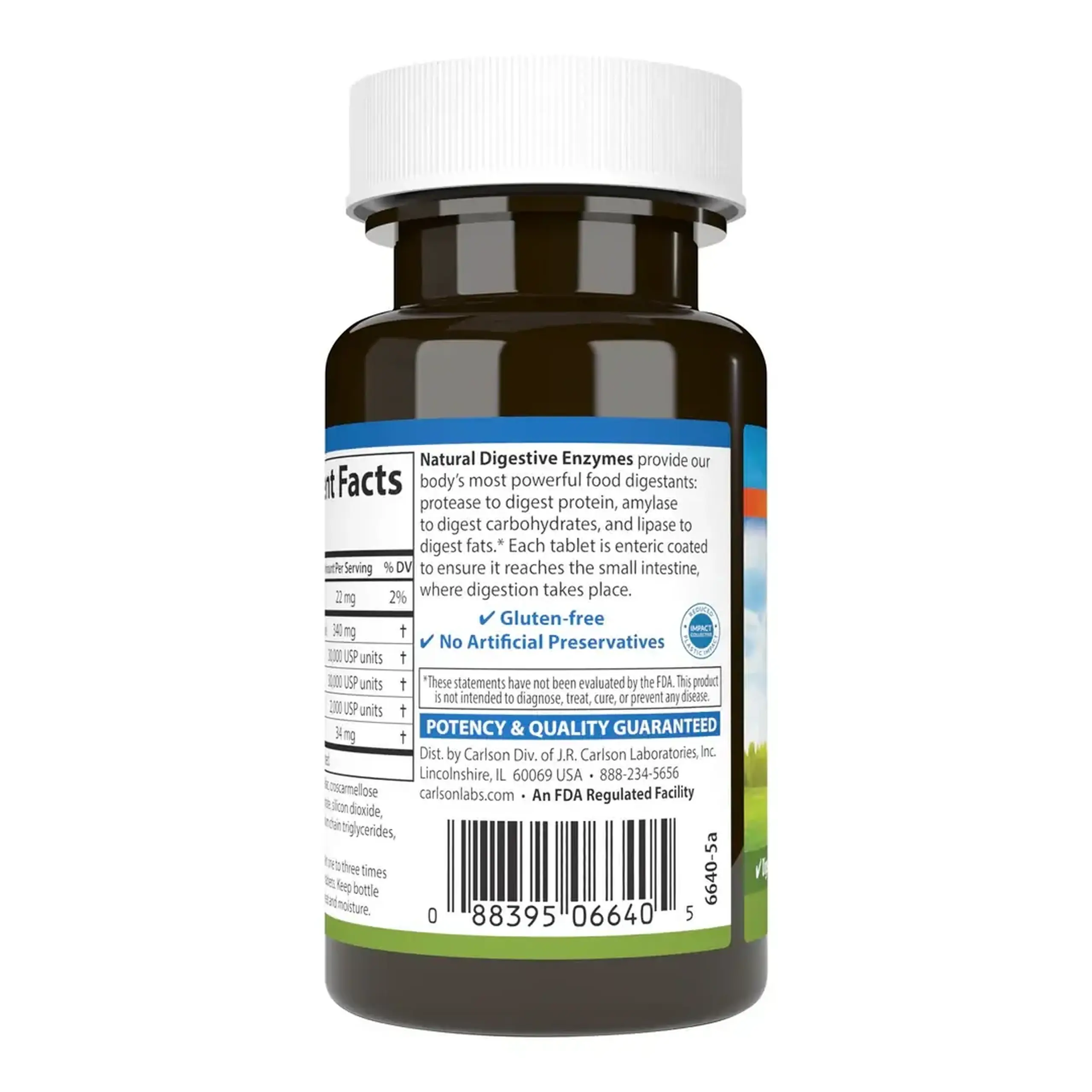 Carlson, Natural Digestive Enzymes, 50 tabs