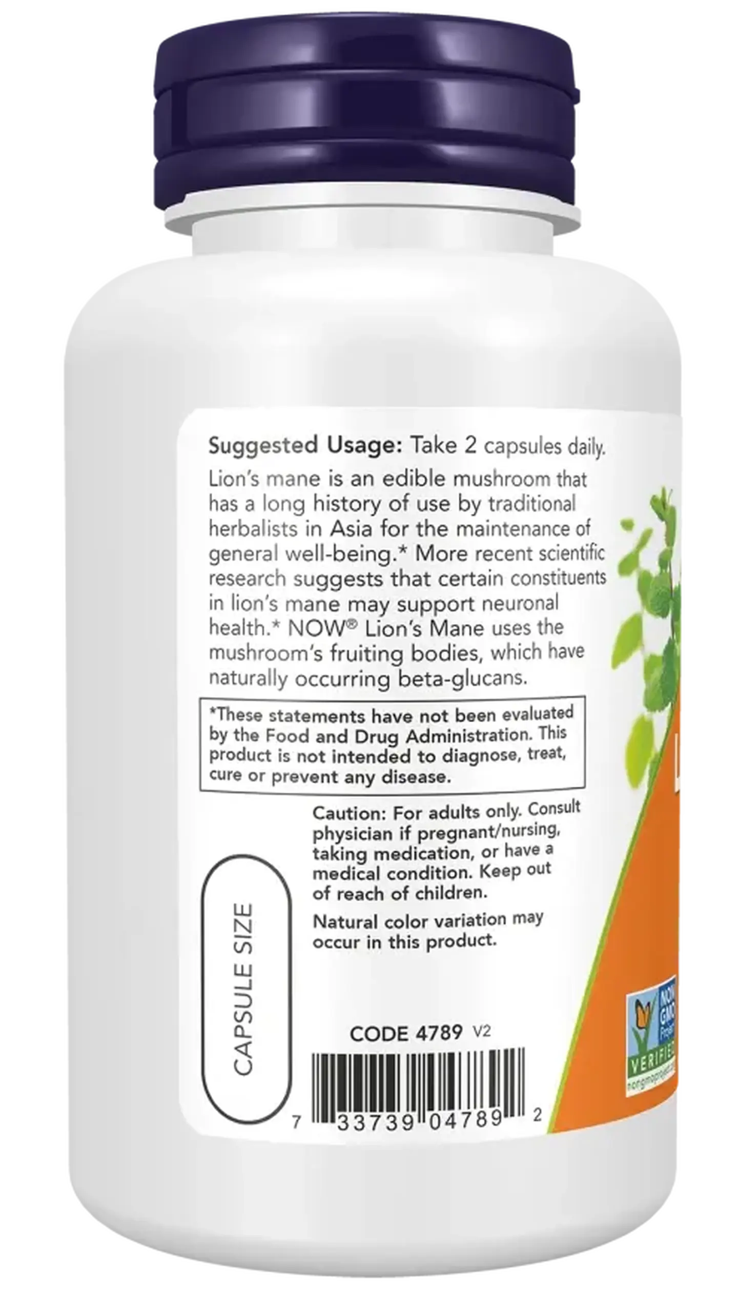 Now Foods, Lions Mane, 60 capsule vegetale