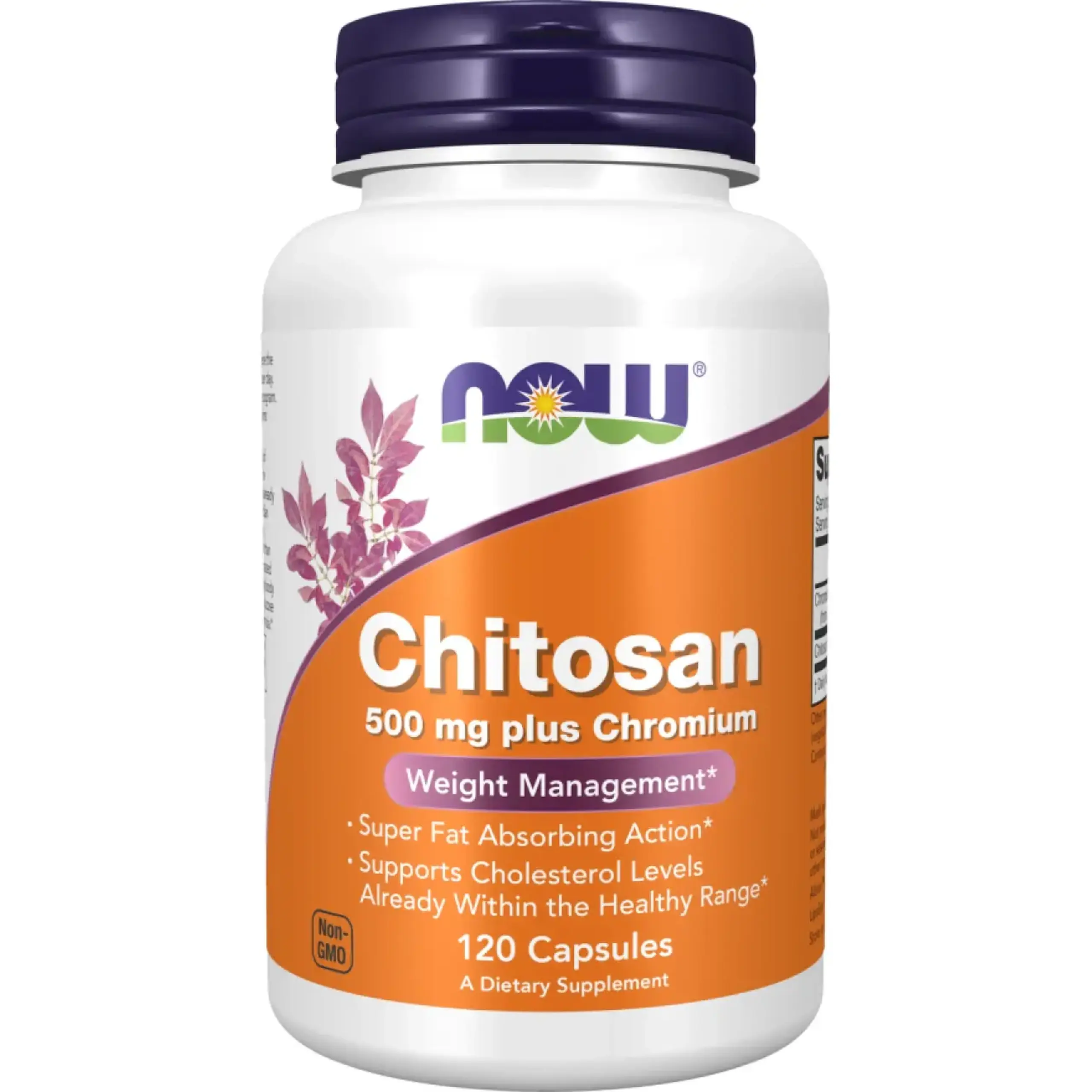 Now Foods, Chitosan Plus, 120 capsule vegetale