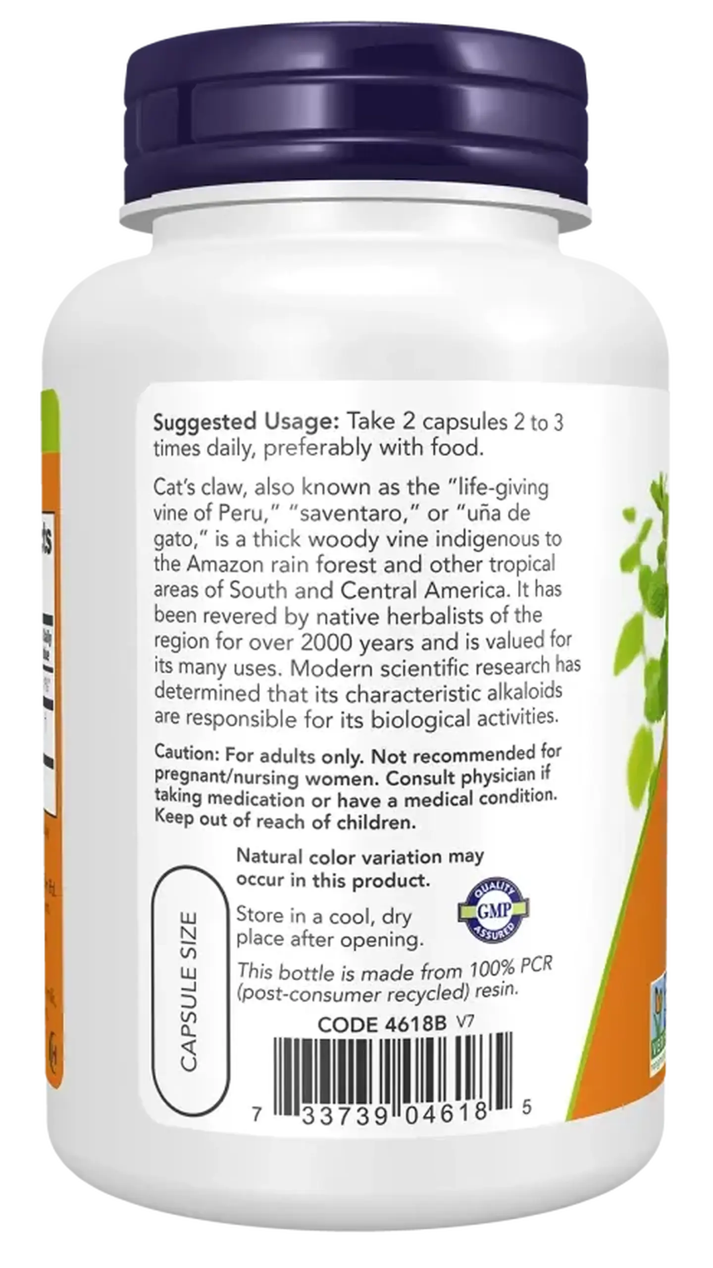 Now Foods, Cat’s Claw, 500 mg, 100 capsule vegetale