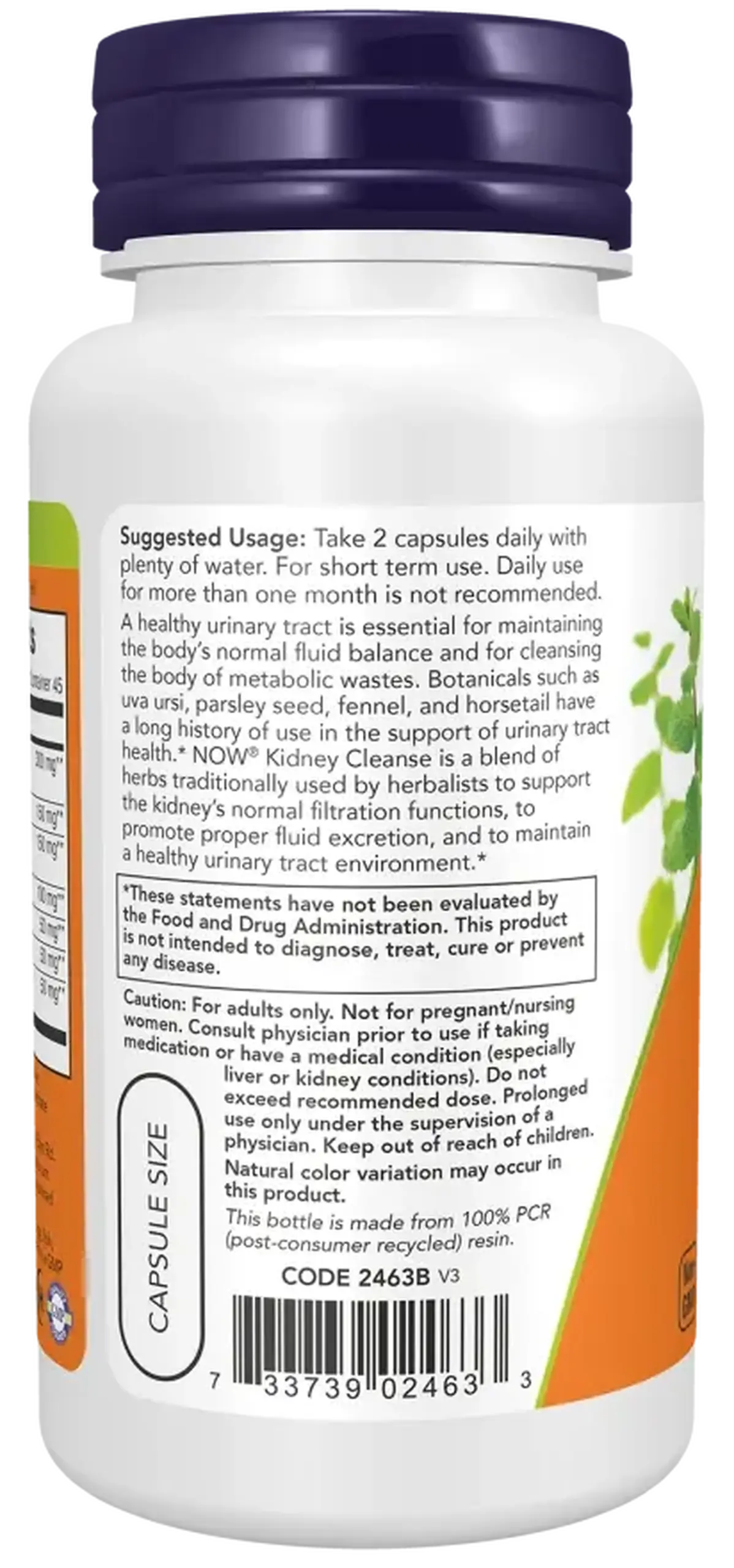 Now Foods, Kidney Cleanse, 90 capsule vegetale
