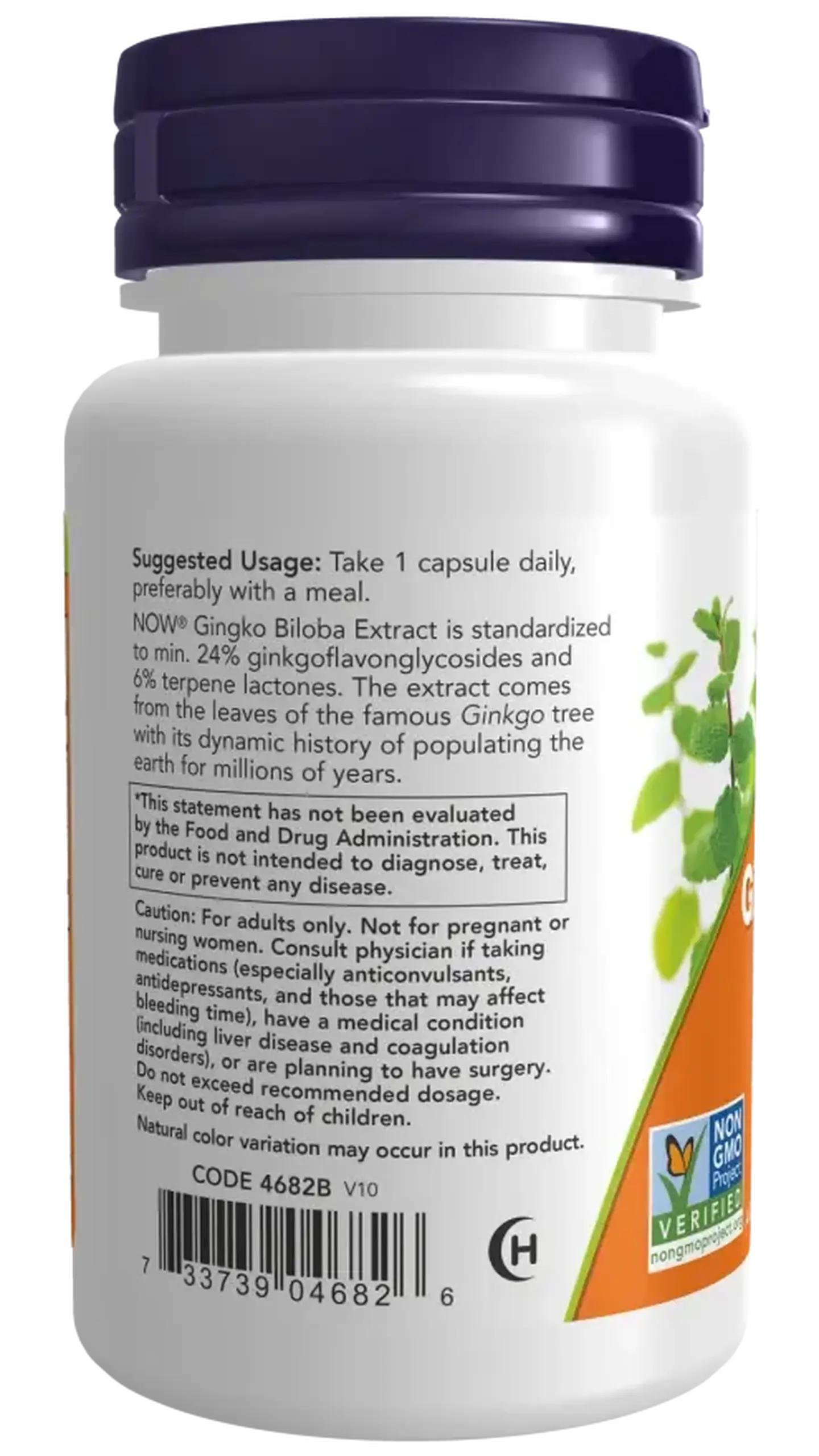 Now Foods, Ginkgo Biloba 120mg, 50 capsule vegetale