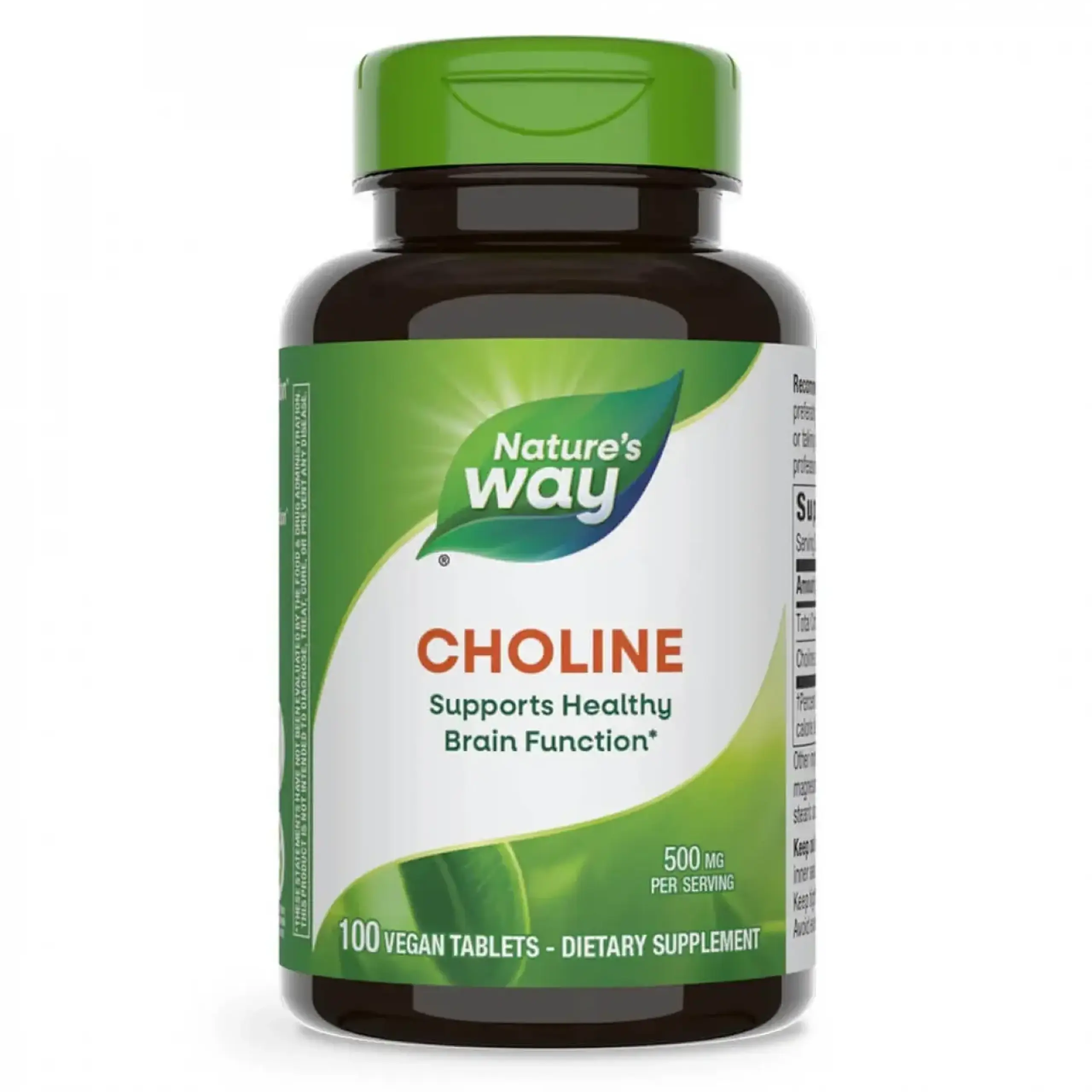 Nature's Way, Choline 500 mg, 100 tabs