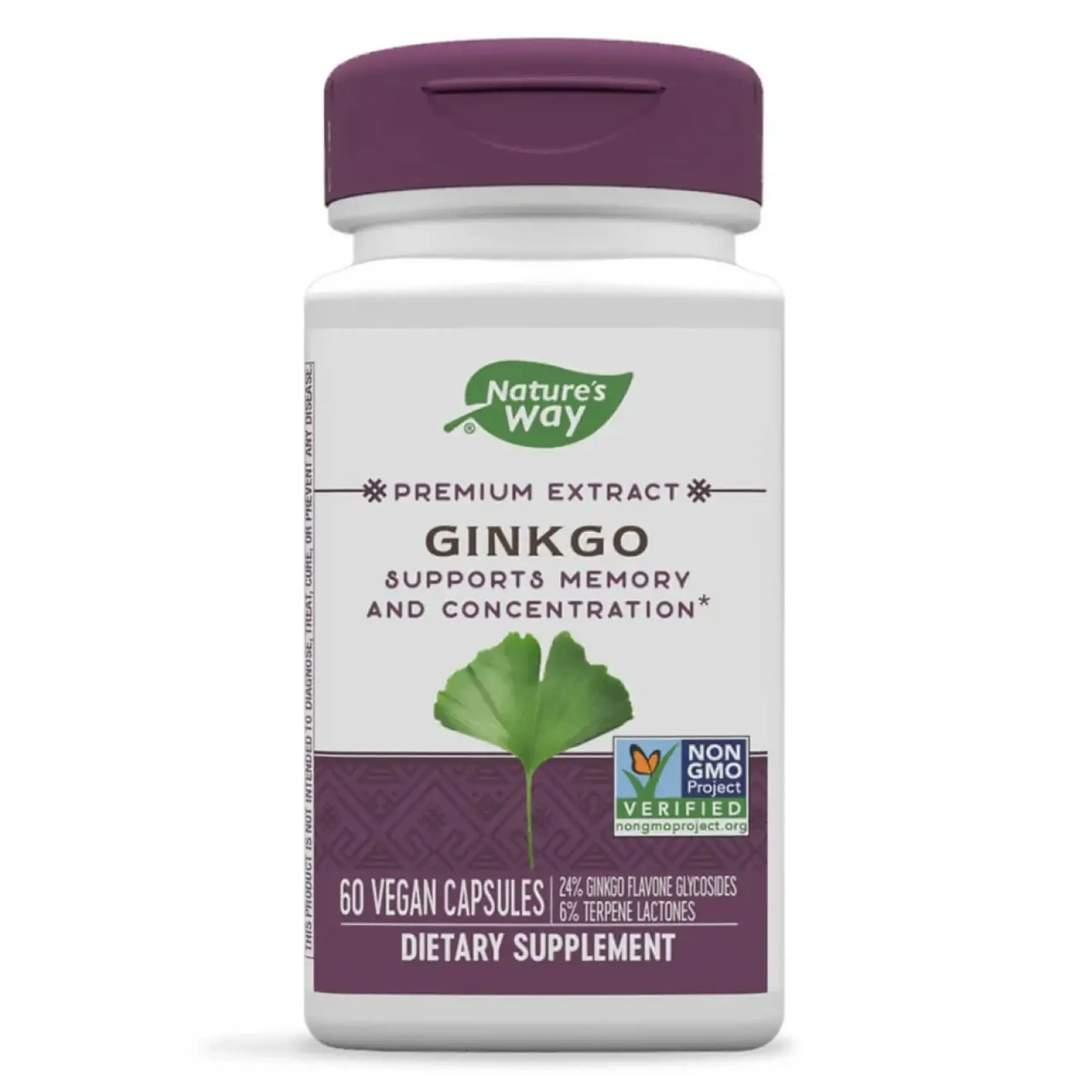 Nature's Way, Ginkgo SE, 60 vcaps