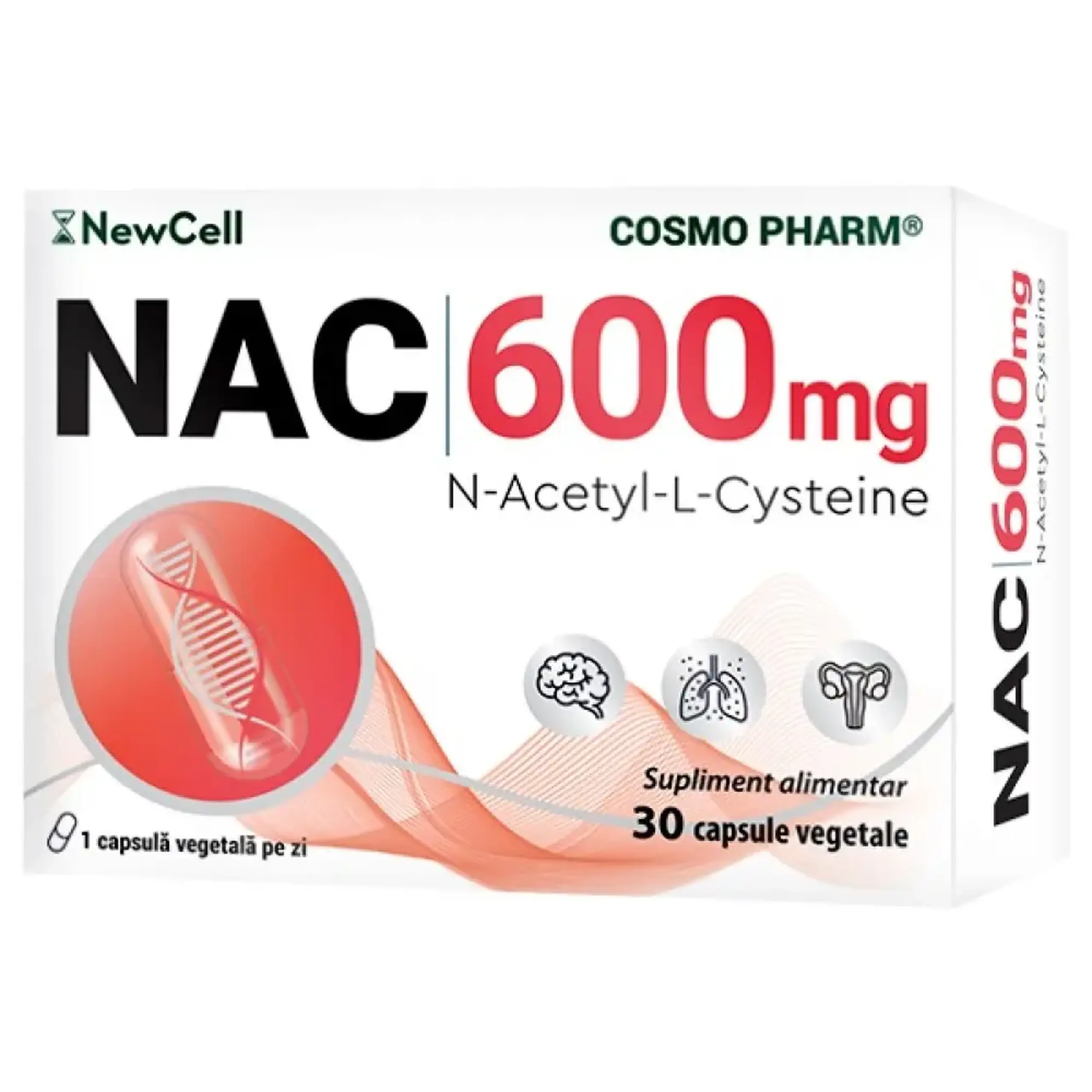 NAC 600mg (N-Acetil L-Cistein,secret bronsic) caps. N30 Cosmo Pharm