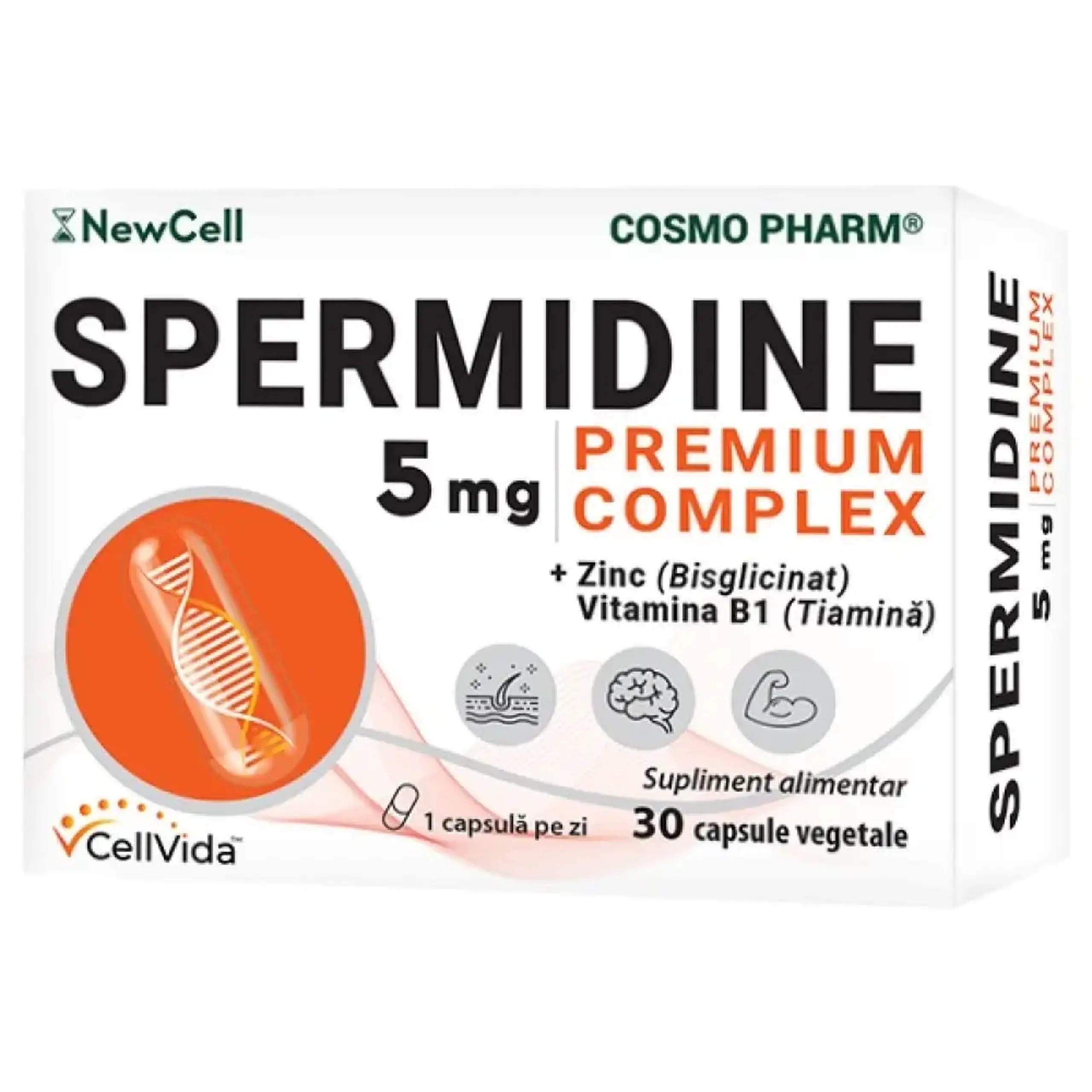 Spermidine 5mg Premium (longevitate) caps. N30 Cosmo Pharm