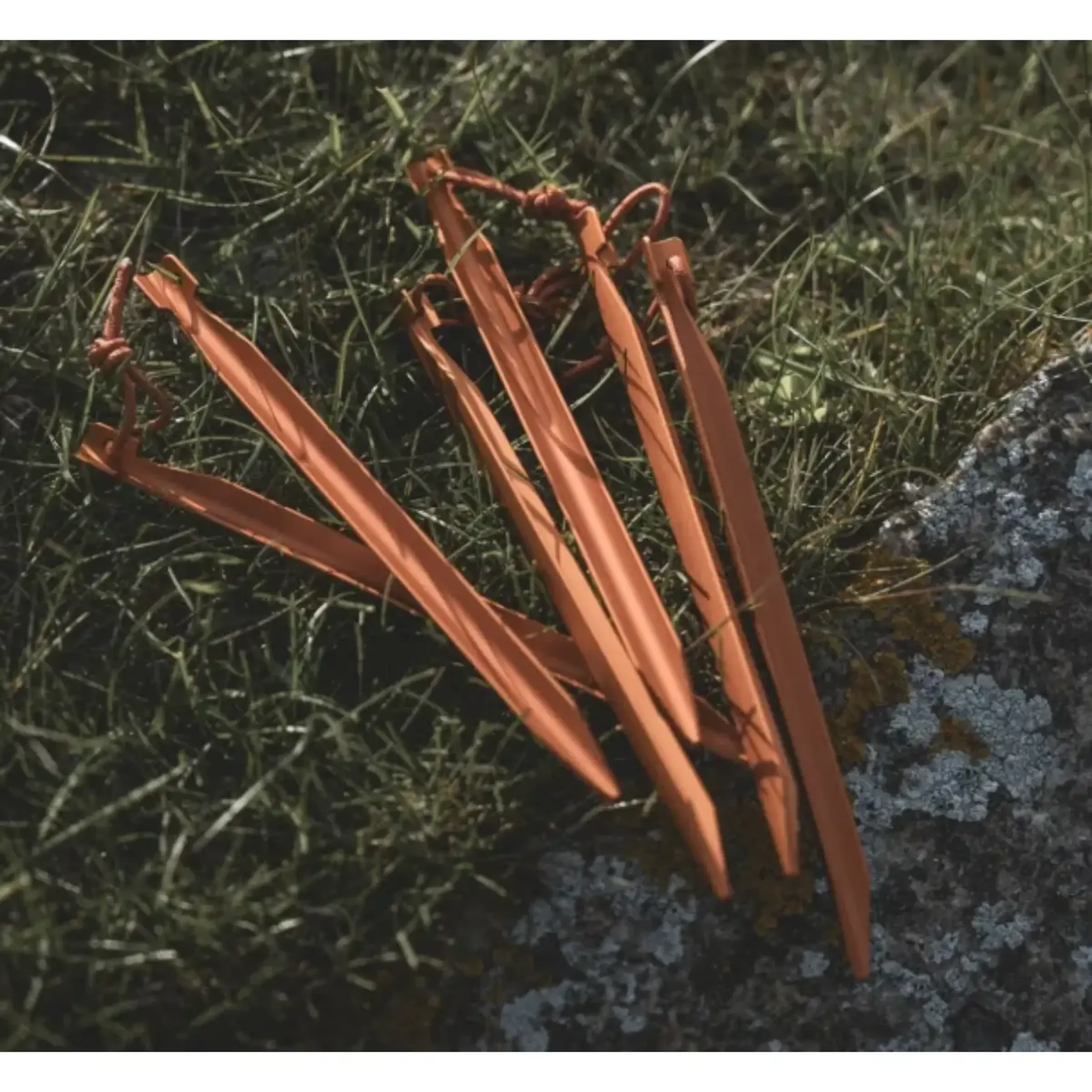 Set de țăruși Easy Camp Aluminium V-Pegs