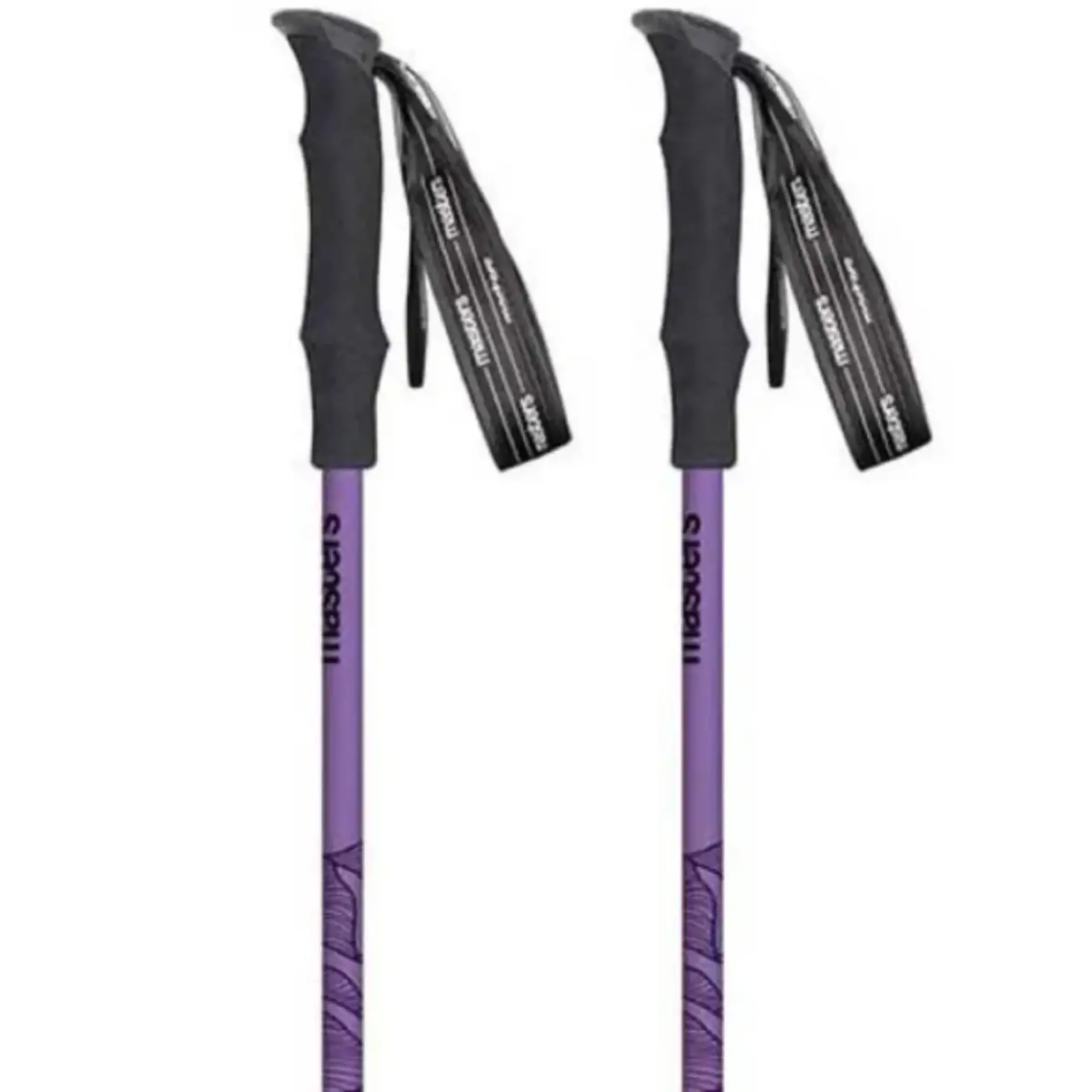 Bețe trekking Masters Hiker Compact Lite