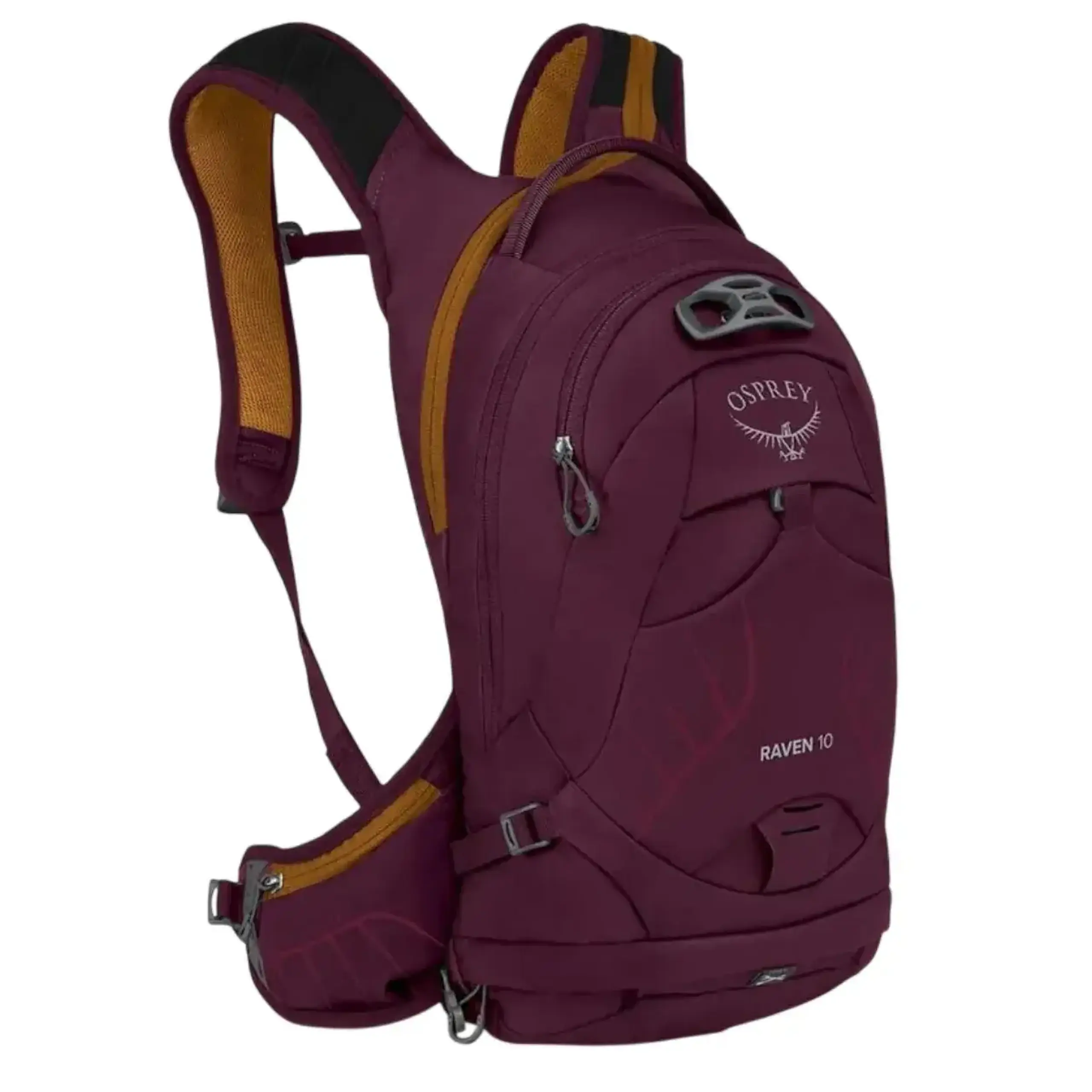 Rucsac Osprey Raptor 14 aprium purple