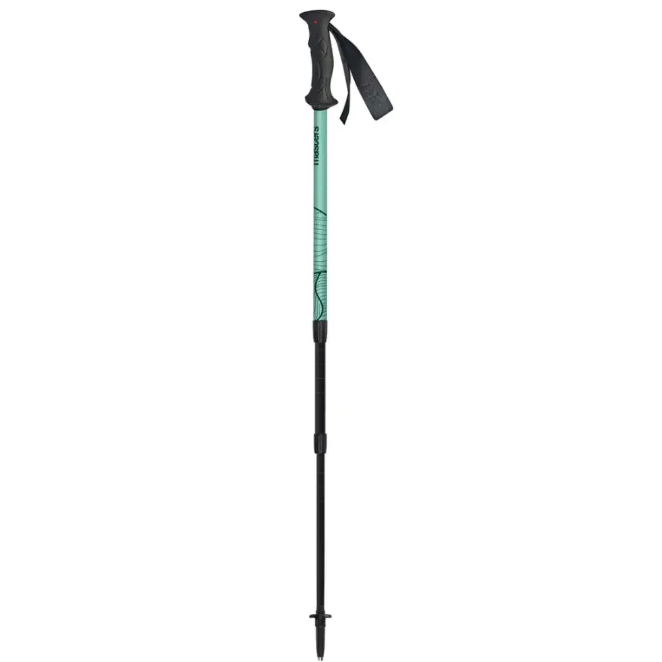 Bețe trekking Masters Scout Arctic Blue/Blue