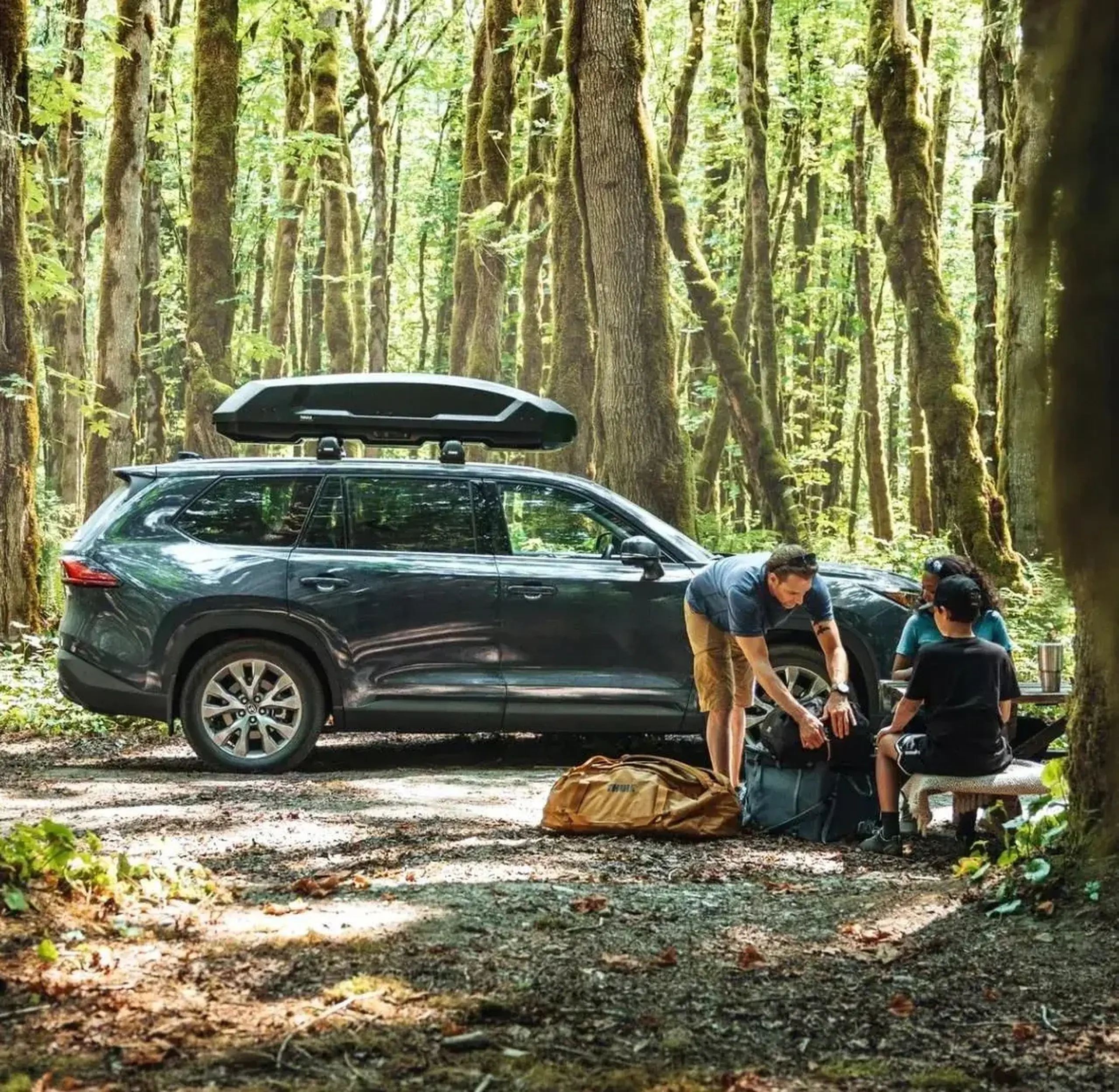 Box Thule Force 3 S roof box black