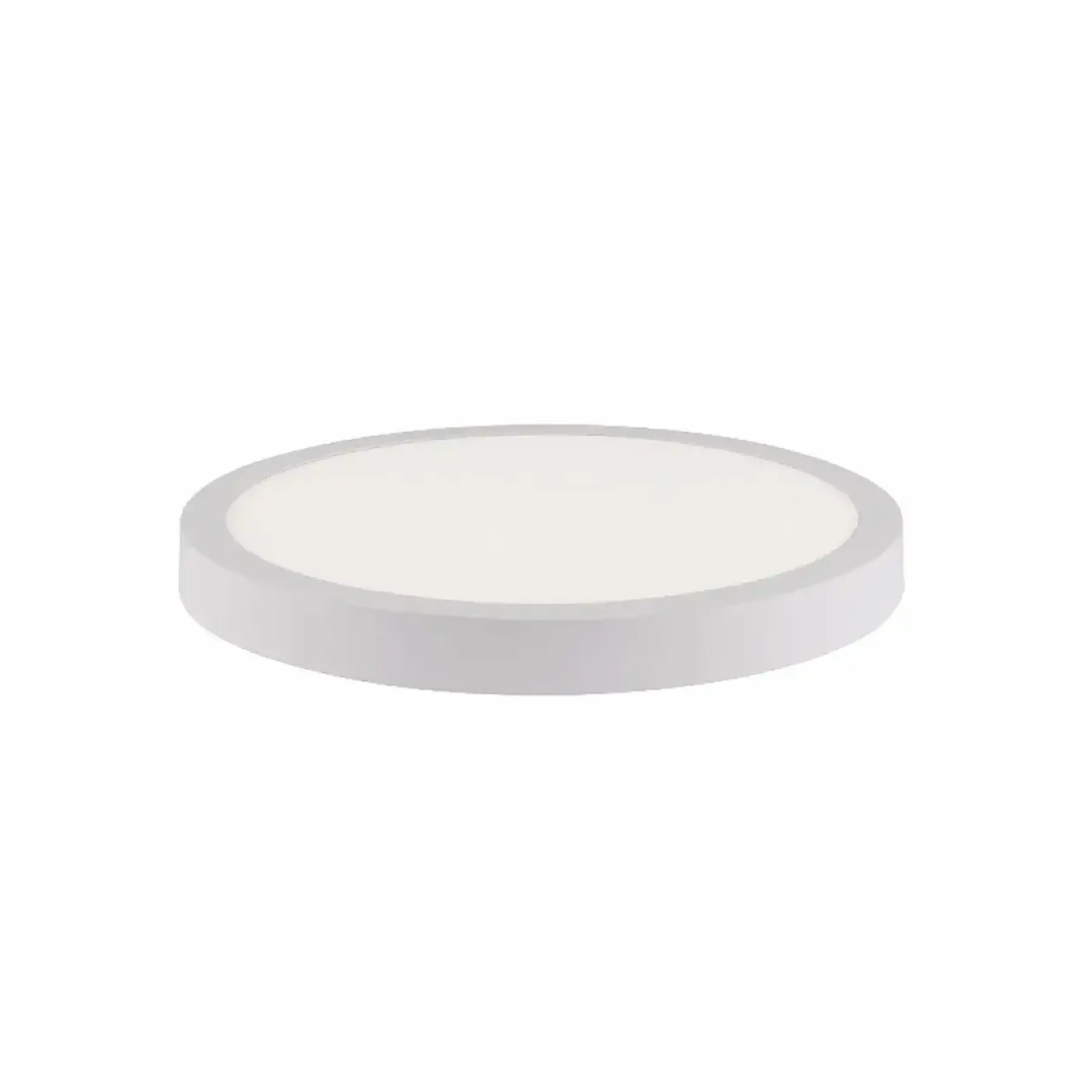 Felinar LED CAROLINE 12 W SMD 3000 K 220 - 240 V IP20 Horoz - 3000 K (K) 300 x 35 mm (L x W x H x Ø)