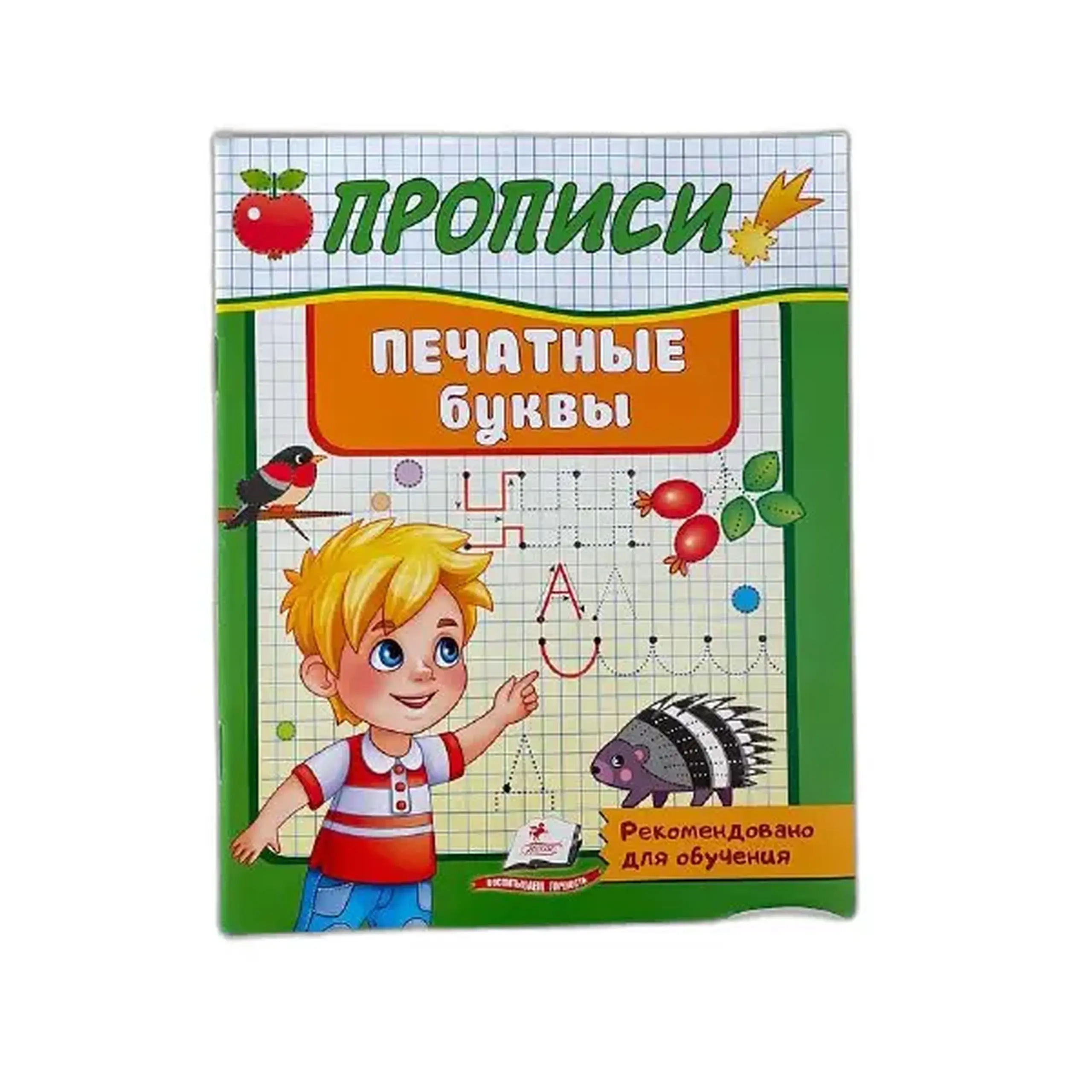 Прописи Печатные буквы