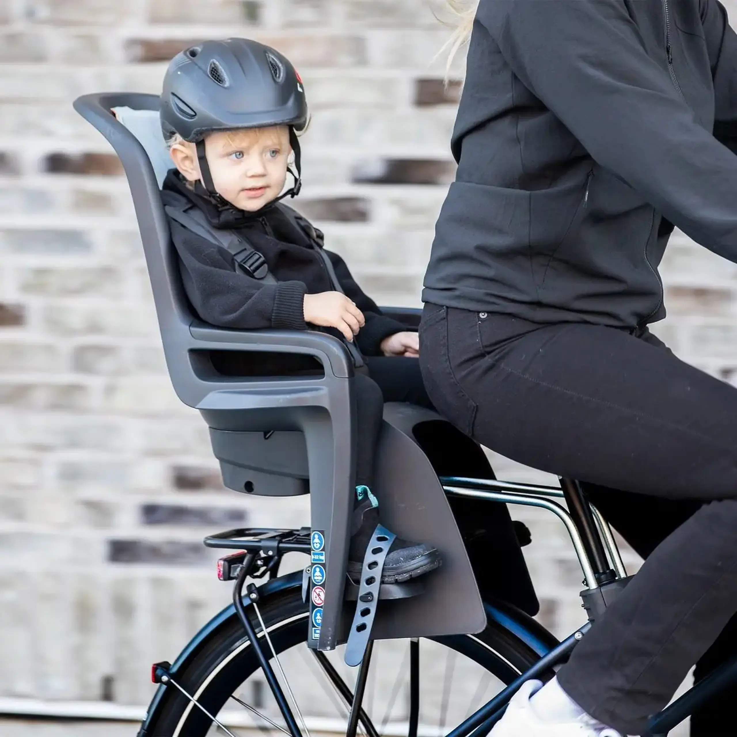 Scaun pentru copii Thule Ride Along 2 Bike Seat Dark Grey