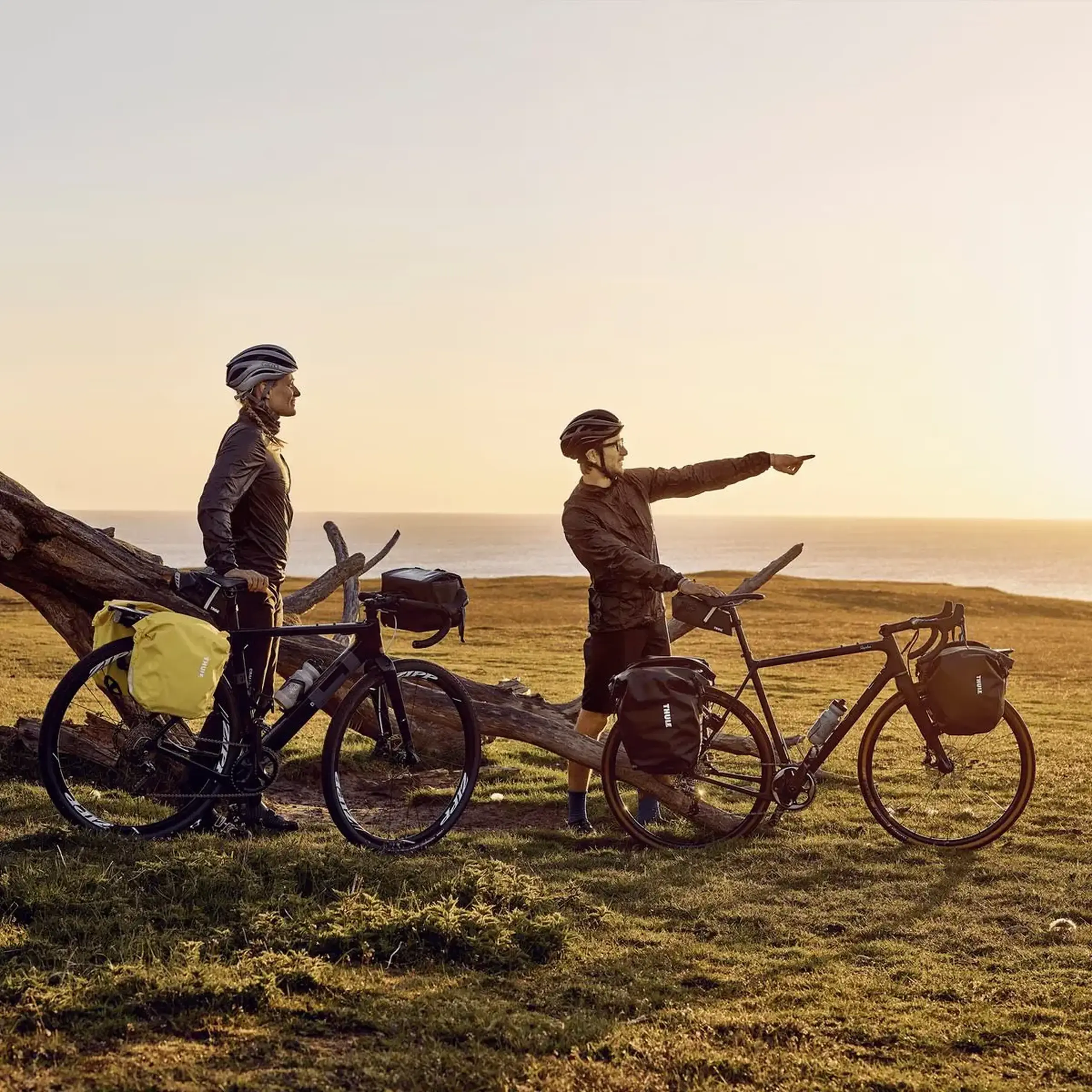 Geantă pentru bicicletă Thule Shield Pannier 13L 2-pack black
