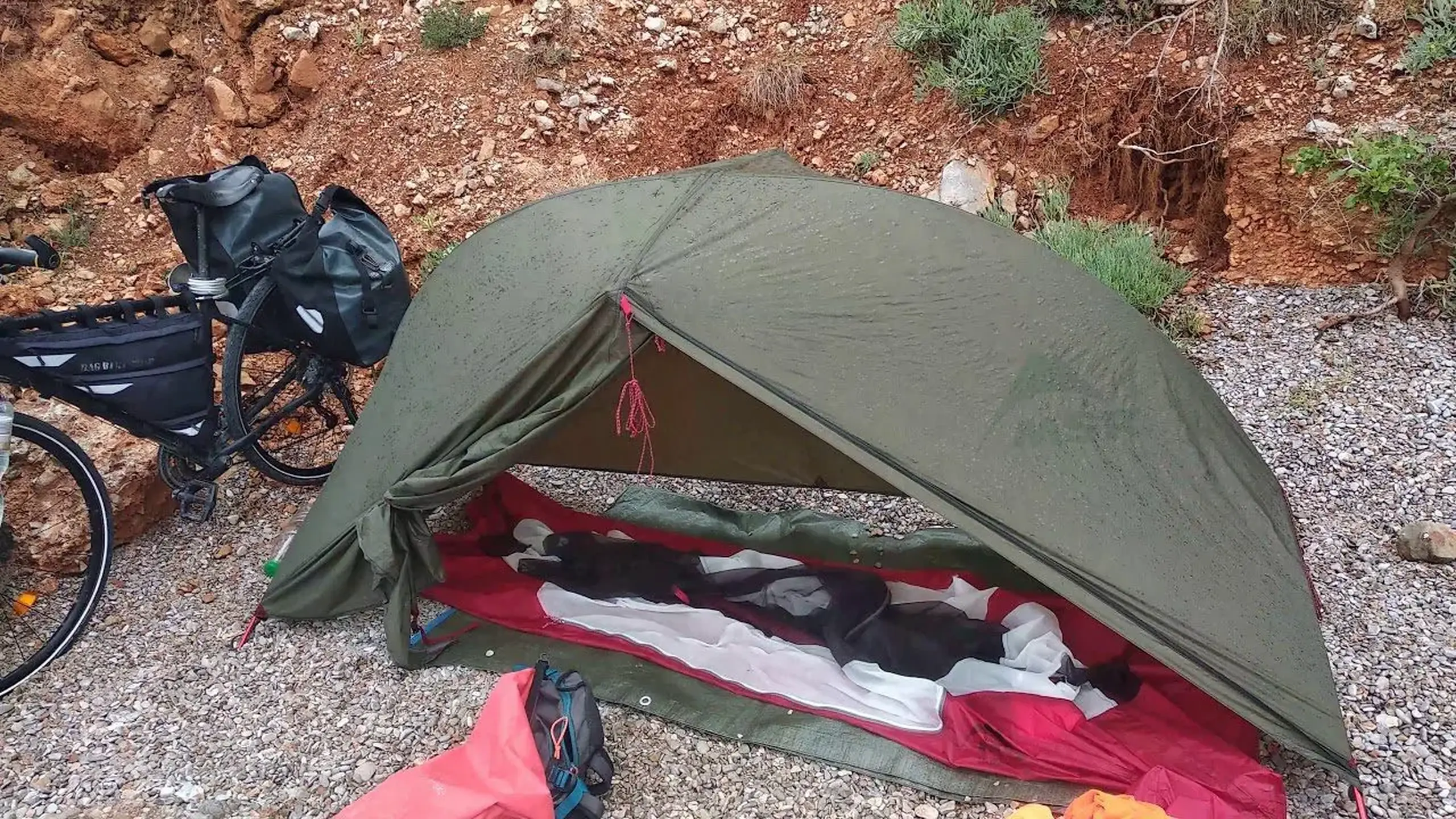Cort MSR Hubba NX 1