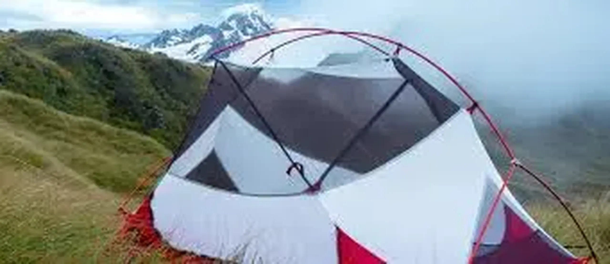 Cort MSR Hubba NX 1