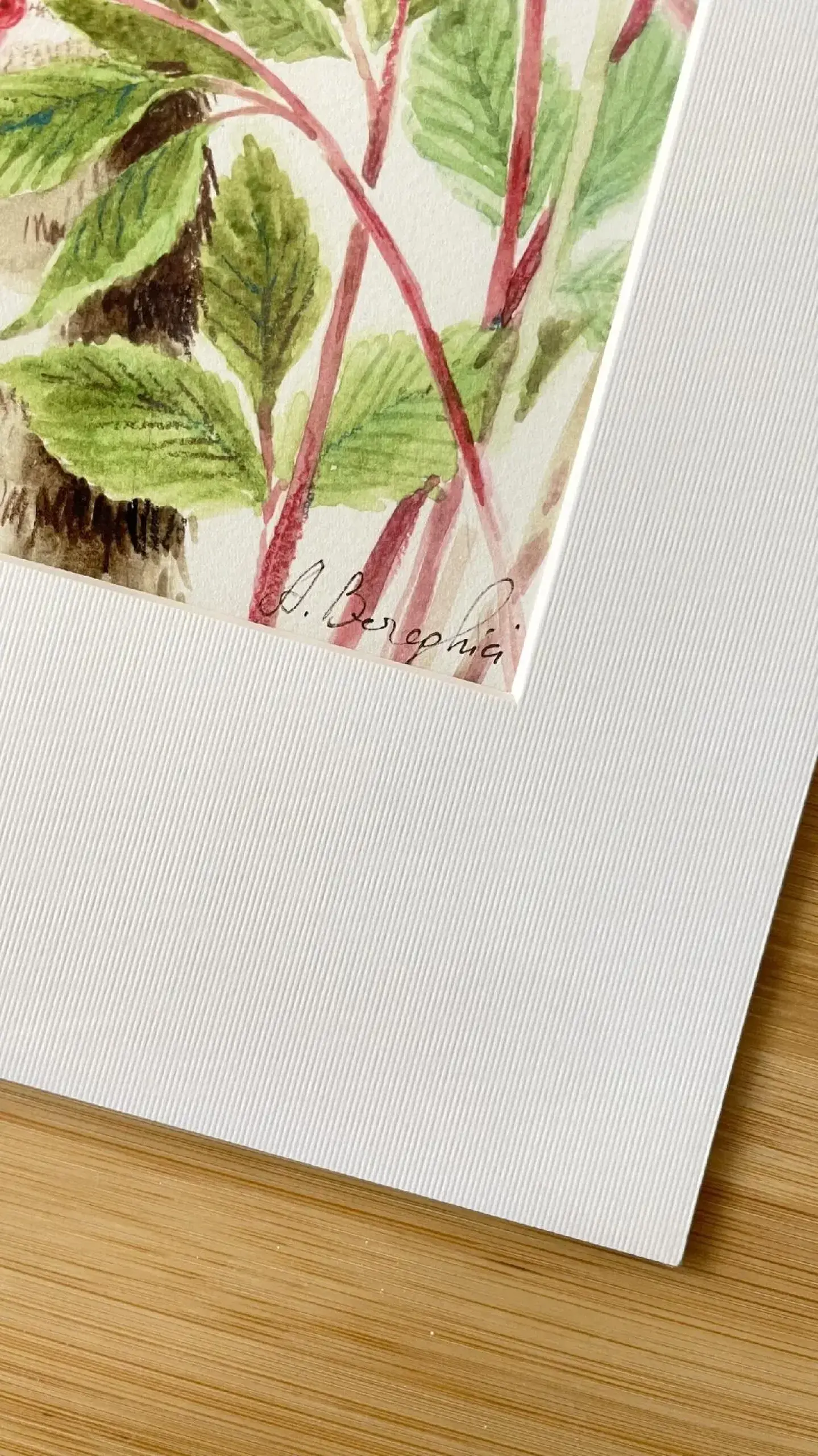 “Floc” A4+ Passepartout | ART PRINT