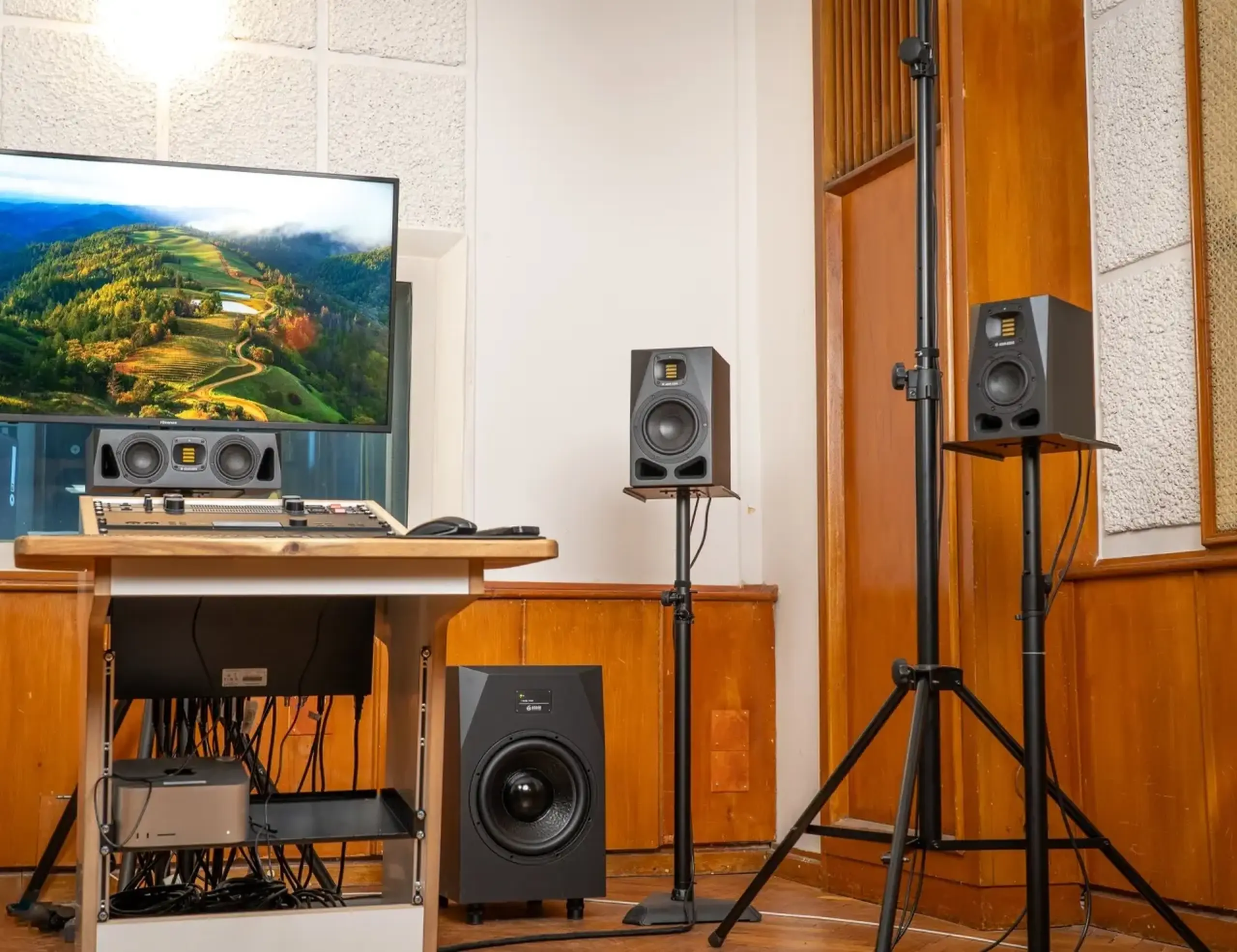 Subwoofer Adam Audio Sub12