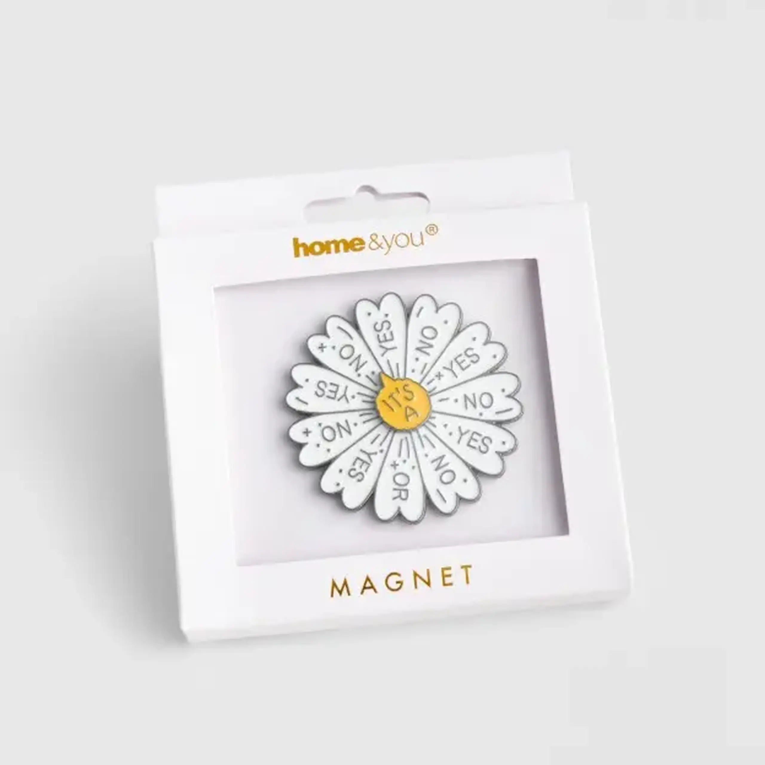 Magnet DAISOS
