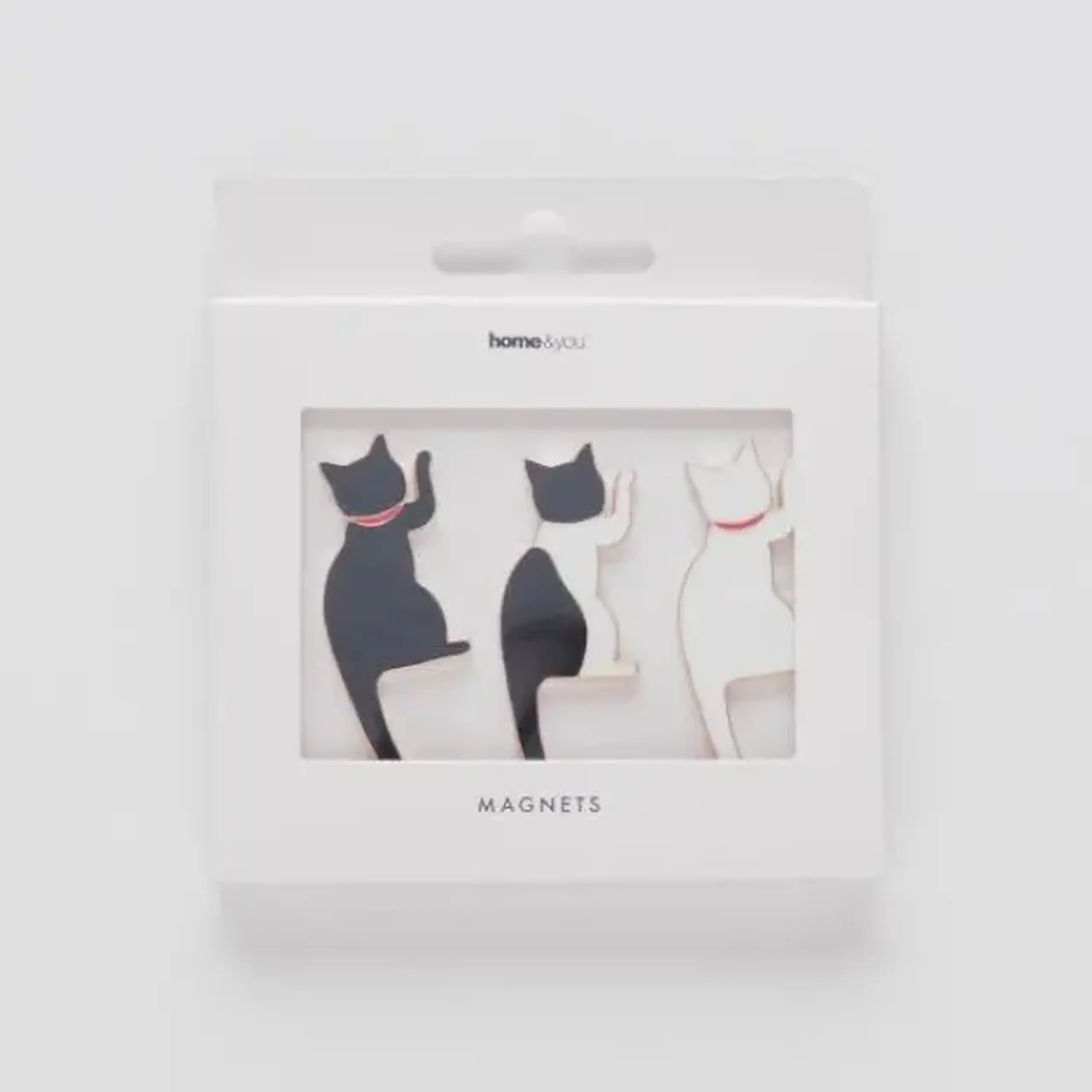 Set magneți CATERO