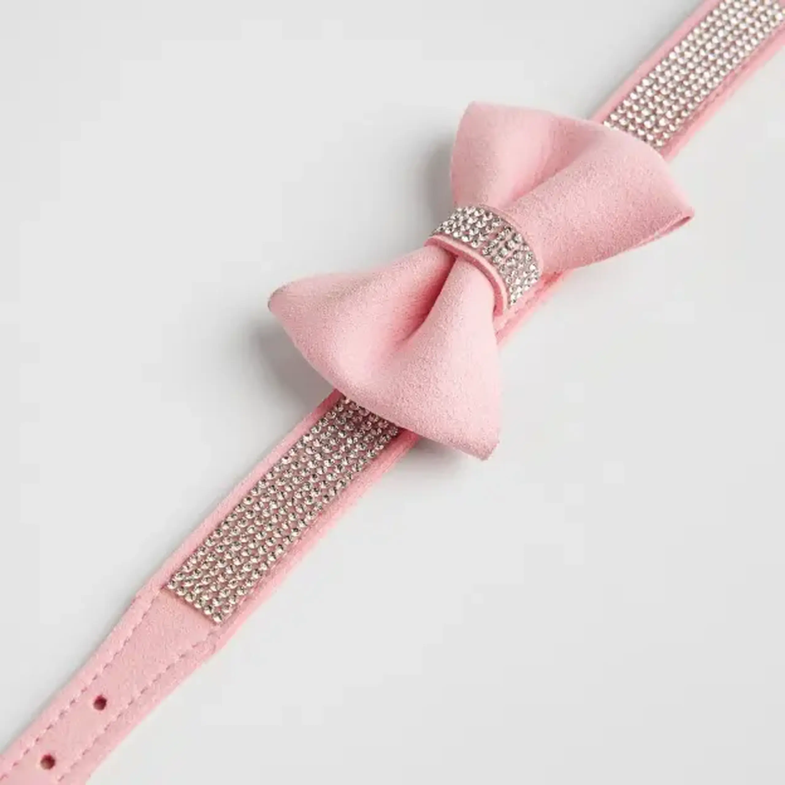 Accesoriu pentru animale ASTRI