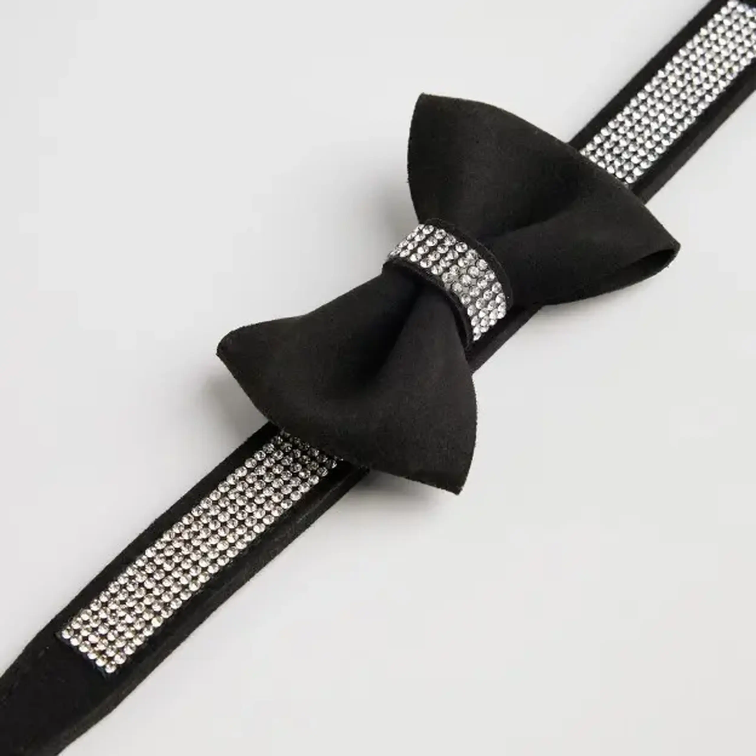 Accesoriu pentru animale ASTRI