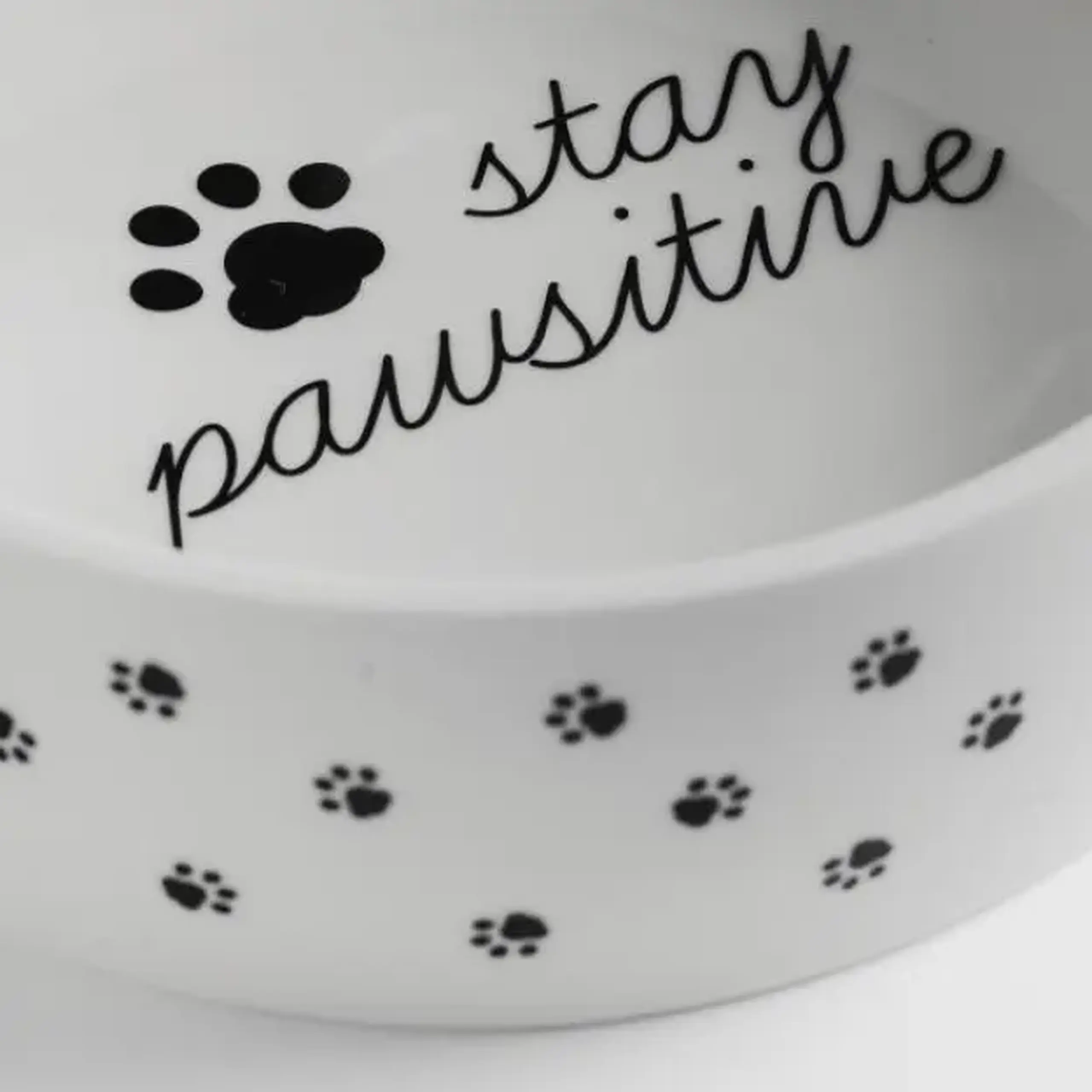 Bol pentru animale DOGESSO