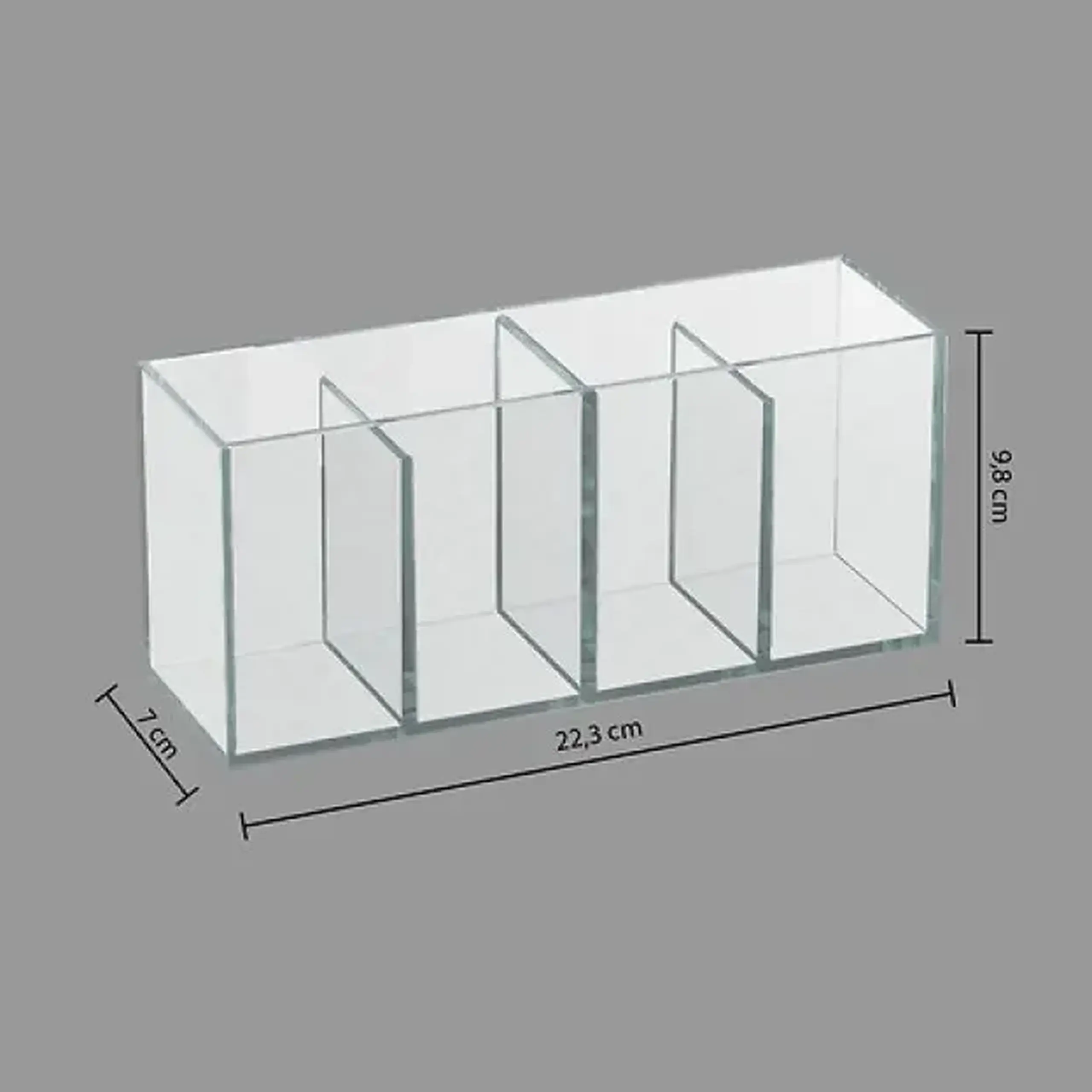 Organizator