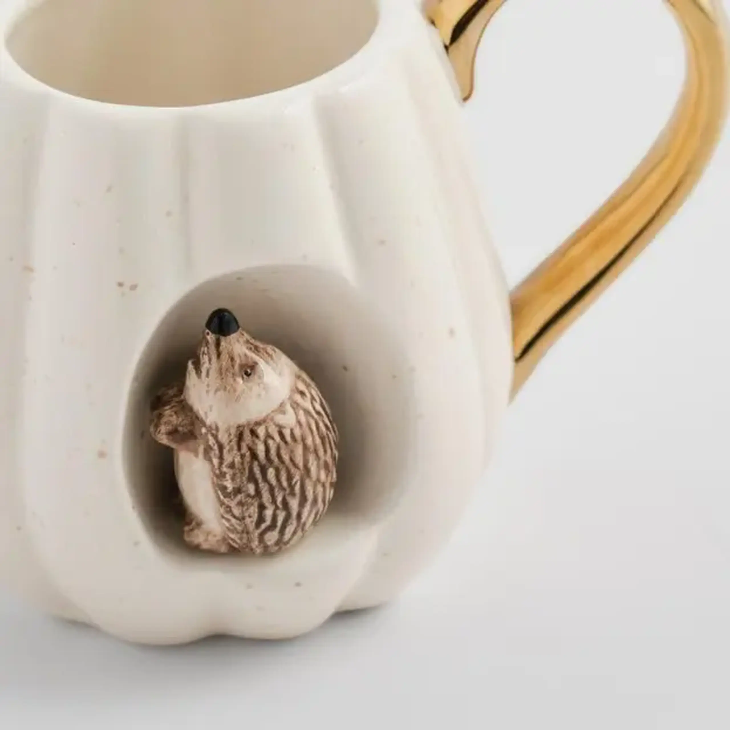 Cana HEDGINISOS