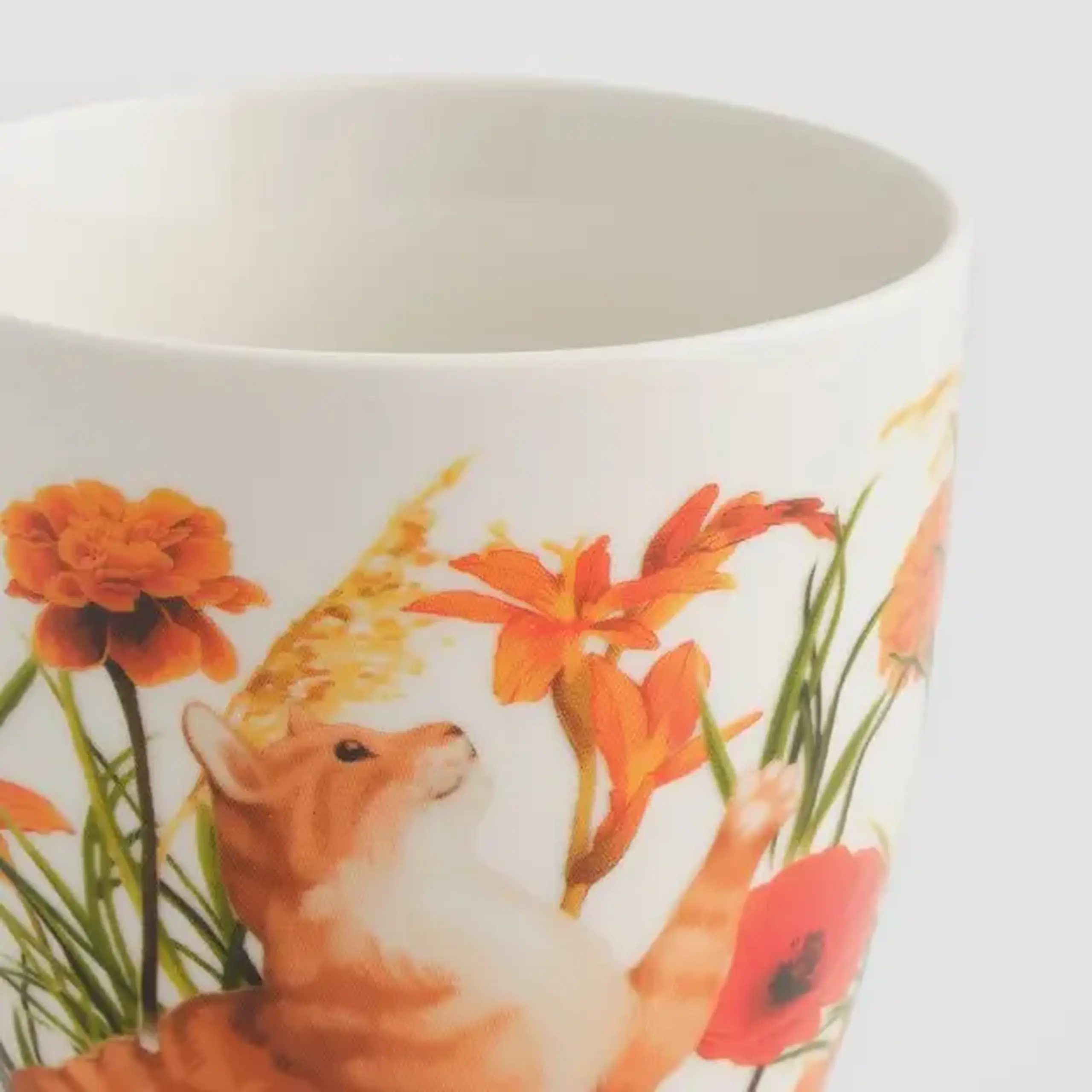 Cană ISOLDINCAT