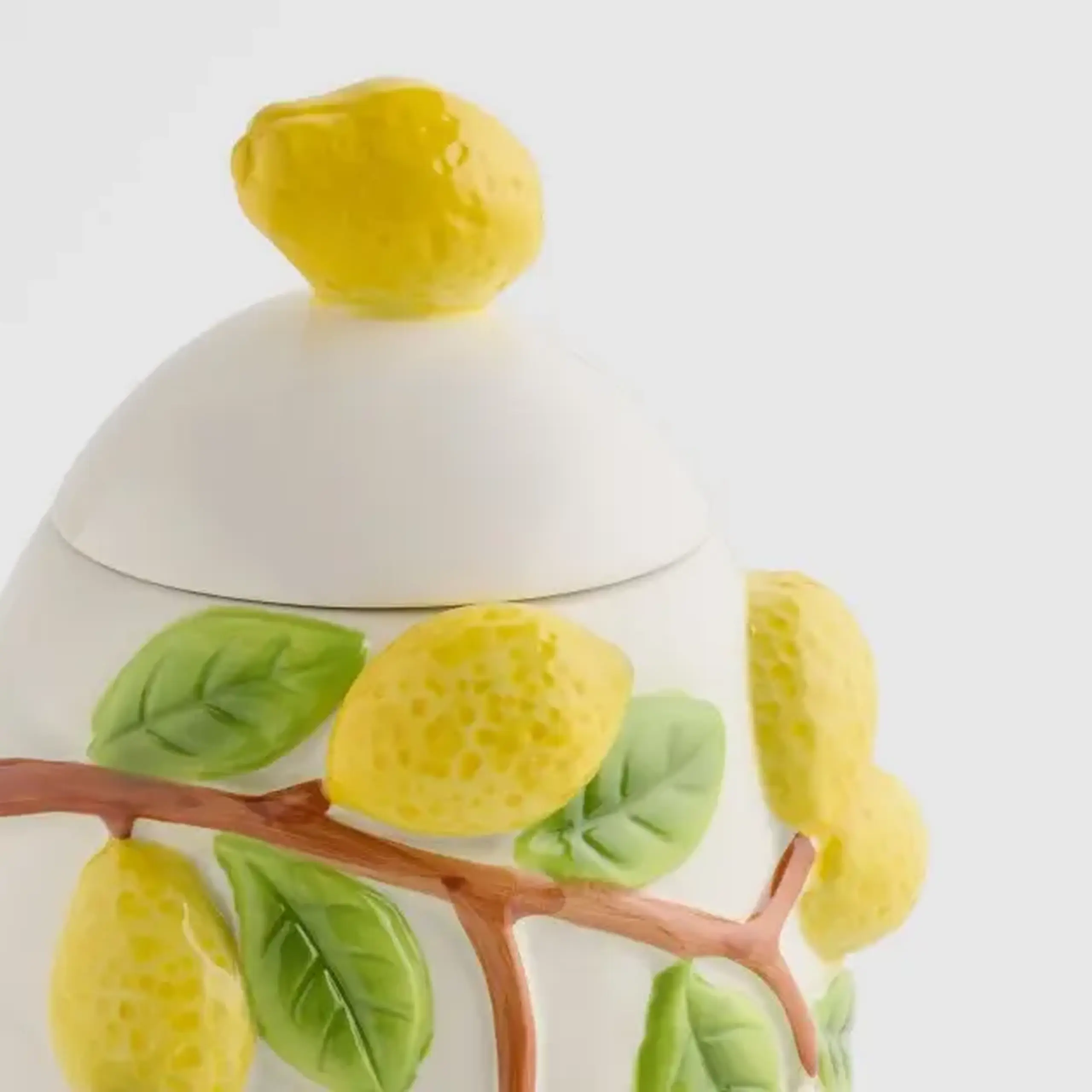Container LIMONESSA