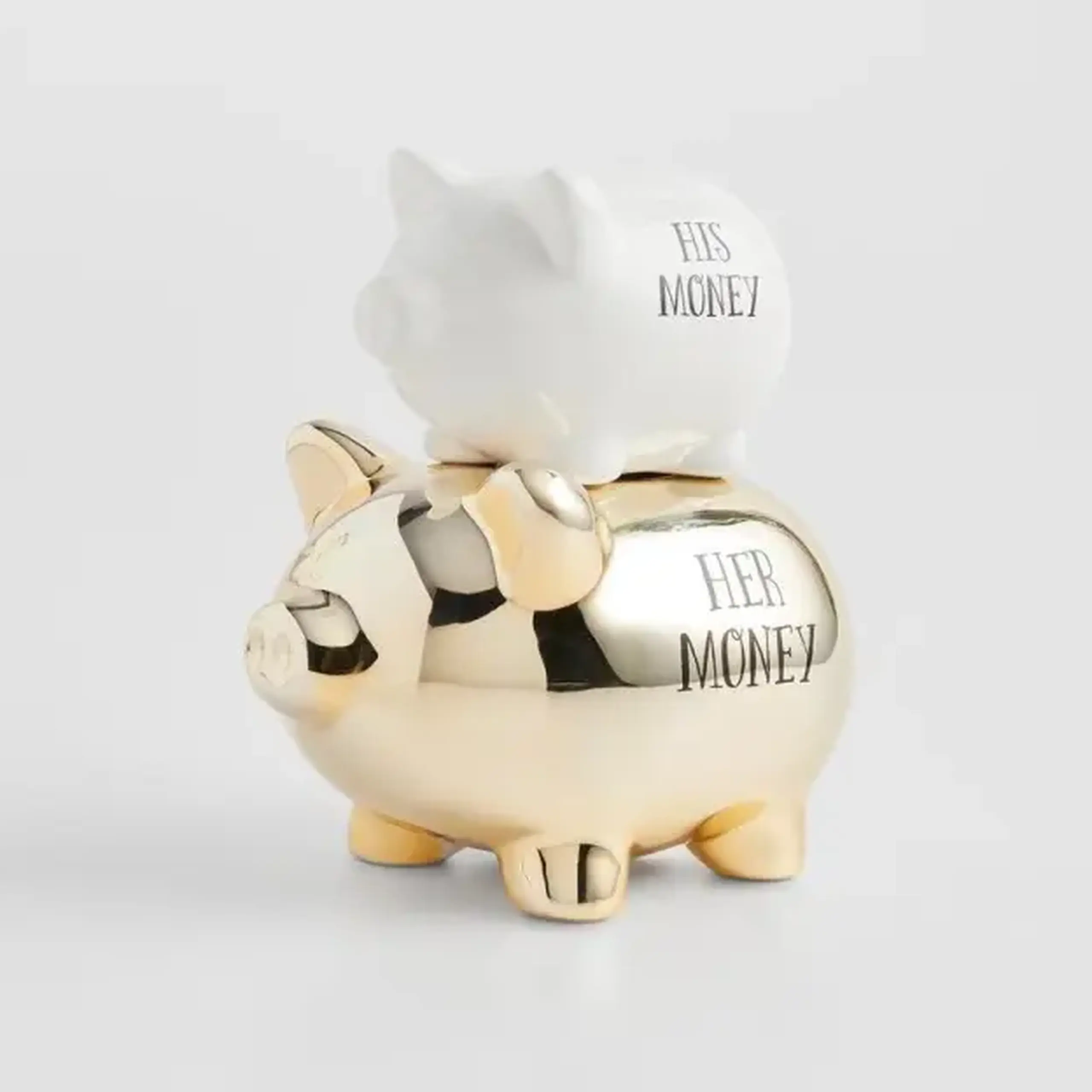 Pușculiță THEIR MONEY
