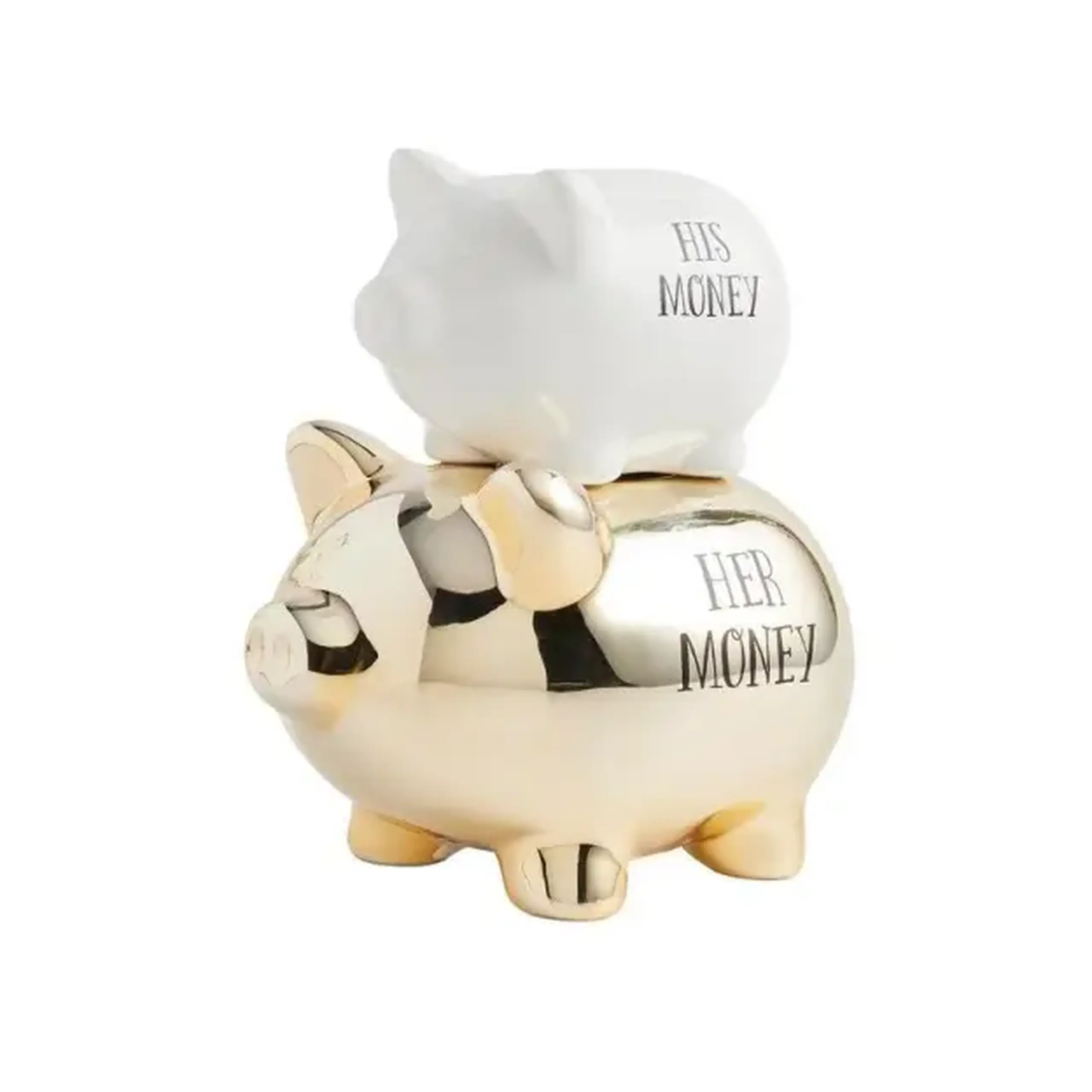 Pușculiță THEIR MONEY